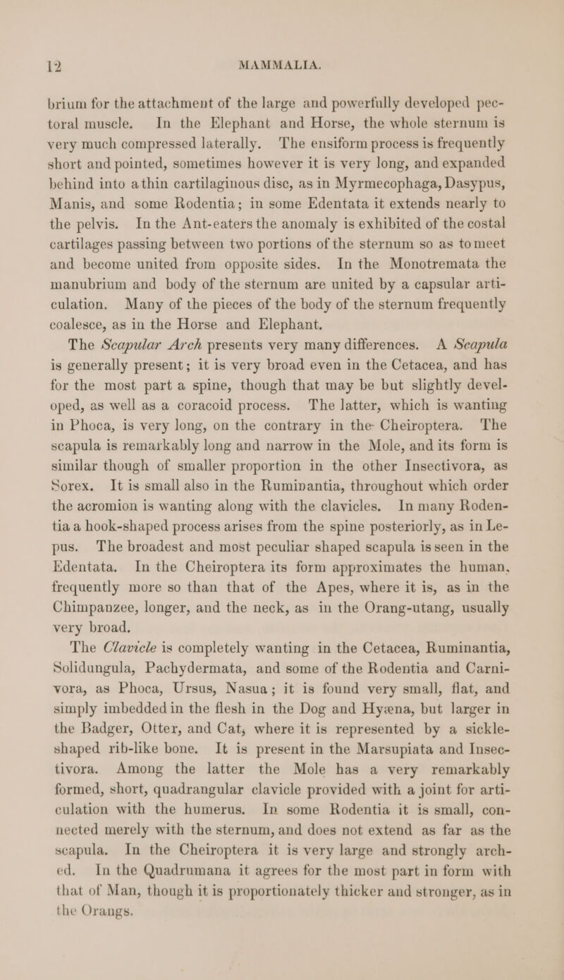 brium for the attachment of the large and powerfully developed pec- toral muscle. In the Elephant and Horse, the whole sternum is very much compressed laterally. The ensiform process is frequently short and pointed, sometimes however it is very long, and expanded behind into athin cartilaginous disc, as in Myrmecophaga, Dasypus, Manis, and some Rodentia; in some Edentata it extends nearly to the pelvis. In the Ant-eaters the anomaly is exhibited of the costal cartilages passing between two portions of the sternum so as tomeet and become united from opposite sides. In the Monotremata the manubrium and body of the sternum are united by a capsular arti- culation. Many of the pieces of the body of the sternum frequently coalesce, as in the Horse and Elephant. The Scapular Arch presents very many differences. A Seapula is generally present; it is very broad even in the Cetacea, and has for the most part a spine, though that may be but slightly devel- oped, as well as a coracoid process. The latter, which is wanting in Phoca, is very long, on the contrary in the Cheiroptera. The scapula is remarkably long and narrow in the Mole, and its form is similar though of smaller proportion in the other Insectivora, as Sorex. It is small also in the Ruminantia, throughout which order the acromion is wanting along with the clavicles. In many Roden- tia a hook-shaped process arises from the spine posteriorly, as in Le- pus. The broadest and most peculiar shaped scapula is seen in the Edentata. In the Cheiroptera its form approximates the human, frequently more so than that of the Apes, where it is, as in the Chimpanzee, longer, and the neck, as in the Orang-utang, usually very broad, The Clavicle is completely wanting in the Cetacea, Ruminantia, Solidungula, Pachydermata, and some of the Rodentia and Carni- vora, as Phoca, Ursus, Nasua; it is found very small, flat, and simply imbedded in the flesh in the Dog and Hyena, but larger in the Badger, Otter, and Cat, where it is represented by a sickle- shaped rib-like bone. It is present in the Marsupiata and Insec- tivora. Among the latter the Mole has a very remarkably formed, short, quadrangular clavicle provided with a joint for arti- culation with the humerus. In some Rodentia it is small, con- nected merely with the sternum, and does not extend as far as the scapula. In the Cheiroptera it is very large and strongly arch- ed. In the Quadrumana it agrees for the most part in form with that of Man, though it is proportionately thicker and stronger, as in the Orangs.