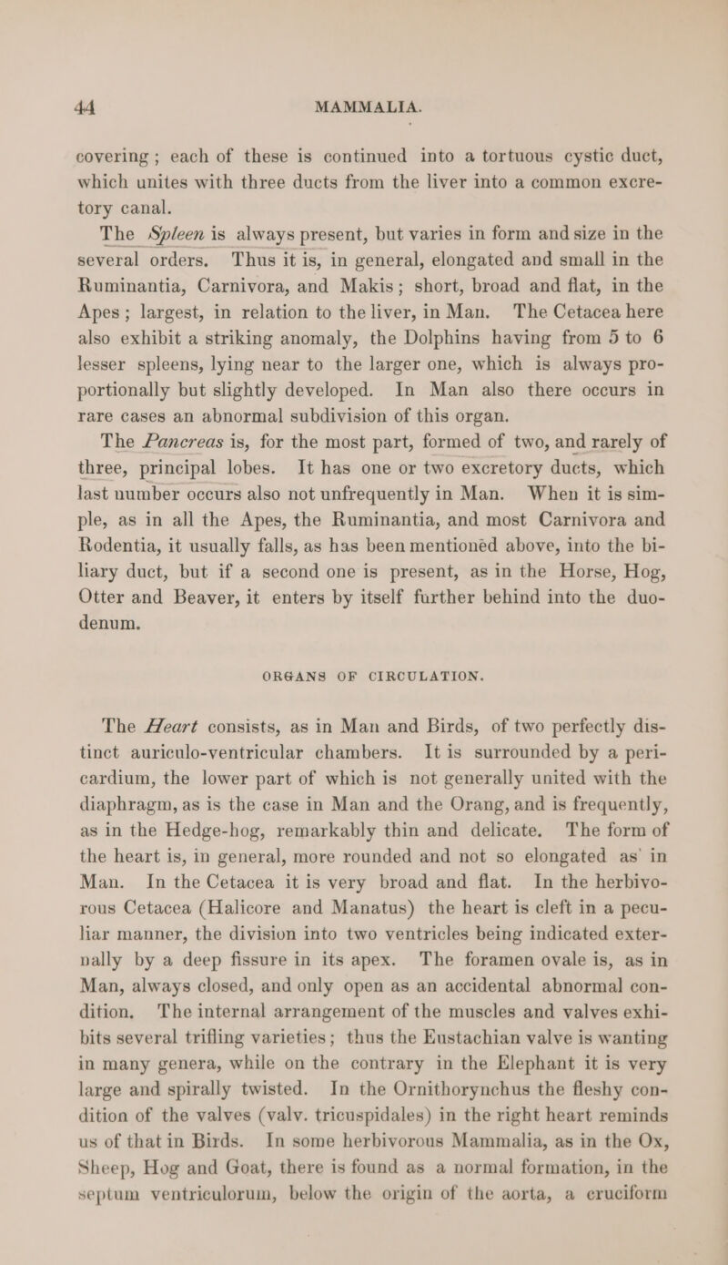 covering ; each of these is continued into a tortuous cystic duct, which unites with three ducts from the liver into a common excre- tory canal. The Spleen is always present, but varies in form and size in the several orders. Thus it is, in general, elongated and small in the Ruminantia, Carnivora, and Makis; short, broad and flat, in the Apes; largest, in relation to the liver, in Man. The Cetacea here also exhibit a striking anomaly, the Dolphins having from 5 to 6 lesser spleens, lying near to the larger one, which is always pro- portionally but slightly developed. In Man also there occurs in rare cases an abnormal subdivision of this organ. The Pancreas is, for the most part, formed of two, and rarely of three, principal lobes. It has one or two excretory ducts, which last number occurs also not unfrequently in Man. When it is sim- ple, as in all the Apes, the Ruminantia, and most Carnivora and Rodentia, it usually falls, as has been mentioned above, into the bi- liary duct, but if a second one is present, as in the Horse, Hog, Otter and Beaver, it enters by itself further behind into the duo- denum. ORGANS OF CIRCULATION. The Heart consists, as in Man and Birds, of two perfectly dis- tinct auriculo-ventricular chambers. It is surrounded by a peri- cardium, the lower part of which is not generally united with the diaphragm, as is the case in Man and the Orang, and is frequently, as in the Hedge-hog, remarkably thin and delicate. The form of the heart is, in general, more rounded and not so elongated as’ in Man. In the Cetacea it is very broad and flat. In the herbivo- rous Cetacea (Halicore and Manatus) the heart is cleft in a pecu- liar manner, the division into two ventricles being indicated exter- pally by a deep fissure in its apex. The foramen ovale is, as in Man, always closed, and only open as an accidental abnormal con- dition. The internal arrangement of the muscles and valves exhi- bits several trifling varieties; thus the Eustachian valve is wanting in many genera, while on the contrary in the Elephant it is very large and spirally twisted. In the Ornithorynchus the fleshy con- dition of the valves (valv. tricuspidales) in the right heart reminds us of that in Birds. In some herbivorous Mammalia, as in the Ox, Sheep, Hog and Goat, there is found as a normal formation, in the septum ventriculorum, below the origin of the aorta, a eruciform