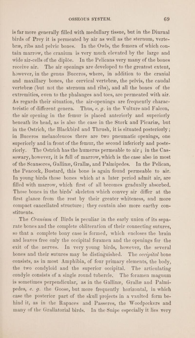 is far more generally filled with medullary tissue, but in the Diurnal birds of Prey it is permeated by air as well as the sternum, verte- bre, ribs and pelvic bones. In the Owls, the femora of which con- tain marrow, the cranium is very much elevated by the large and wide air-cells of the diplöe. In the Pelicans very many of the bones receive air. The air openings are developed to the greatest extent, however, in the genus Buceros, where, in addition to the cranial and maxillary bones, the cervical vertebre, the pelvis, the caudal vertebra (but not the sternum and ribs), and all the bones of the extremities, even to the phalanges and toes, are permeated with air. As regards their situation, the air-openings are frequently charac- teristic of different genera. Thus, e. g. in the Vulture and Falcon, the air opening in the femur is placed anteriorly and superiorly beneath its head, as is also the case in the Stork and Picarie, but in the Ostrich, the Blackbird and Thrush, it is situated posteriorly ; in Buceros melanoleucos there are two pneumatic openings, one superiorly and in front of the femur, the second inferiorly and poste- riorly. The Ostrich has the humerus permeable to air; in the Cas- sowary, however, it is full of marrow, which is the case also in most of the Scansores, Galline, Gralla, and Palmipedes. In the Pelican, the Peacock, Bustard, this bone is again found permeable to air. In young birds those bones which at a later period admit air, are filled with marrow, which first of all becomes gradually absorbed. Those bones in the birds’ skeleton which convey air differ at the first glance from the rest by their greater whiteness, and more compact cancellated structure; they contain also more earthy con- stituents. The Cranium of Birds is peculiar in the early union of its sepa- rate bones and the complete obliteration of their connecting sutures, so that a complete bony case is formed, which encloses the brain and leaves free only the occipital foramen and the openings for the exit of the nerves. In very young birds, however, the several bones and their sutures may be distinguished. The occipital bone consists, as in most Amphibia, of four primary elements, the body, the two condyloid and the superior occipital. The articulating condyle consists of a single round tubercle. The foramen magnum is sometimes perpendicular, as in the Galline, Gralle and Palmi- pedes, e. g. the Goose, but more frequently horizontal, in which case the posterior part of the skull projects in a vaulted form be- hind it, as in the Rapaces and Passeres, the Woodpeckers and many of the Grallatorial birds. In the Snipe especially it lies very