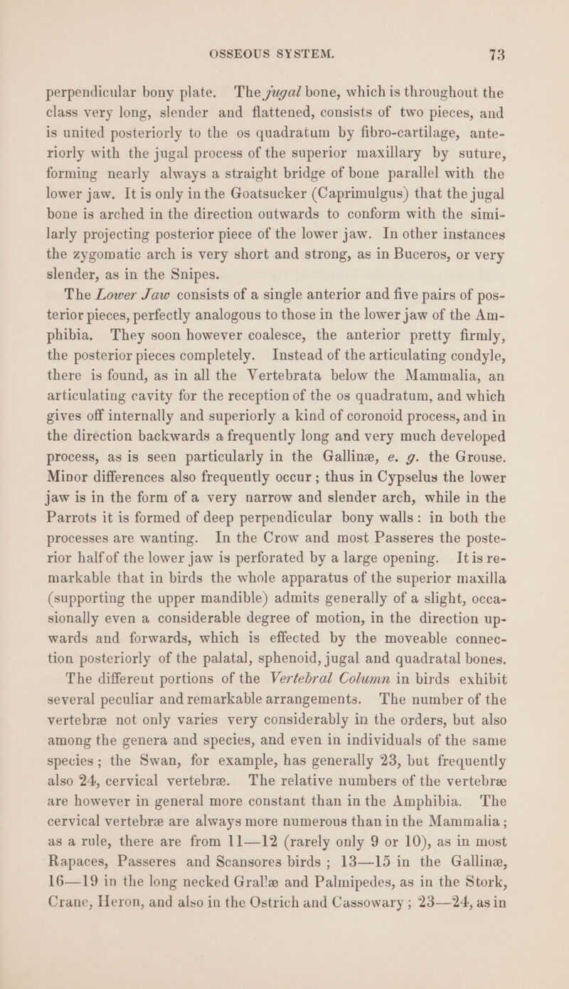 perpendicular bony plate. The zugal bone, which is throughout the class very long, slender and flattened, consists of two pieces, and is united posteriorly to the os quadratum by fibro-cartilage, ante- riorly with the jugal process of the superior maxillary by suture, forming nearly always a straight bridge of bone parallel with the lower jaw. It is only inthe Goatsucker (Caprimulgus) that the jugal bone is arched in the direction outwards to conform with the simi- larly projecting posterior piece of the lower jaw. In other instances the zygomatic arch is very short and strong, as in Buceros, or very slender, as in the Snipes. The Lower Jaw consists of a single anterior and five pairs of pos- terior pieces, perfectly analogous to those in the lower jaw of the Am- phibia. They soon however coalesce, the anterior pretty firmly, the posterior pieces completely. Instead of the articulating condyle, there is found, as in all the Vertebrata below the Mammalia, an articulating cavity for the reception of the os quadratum, and which gives off internally and superiorly a kind of coronoid process, and in the direction backwards a frequently long and very much developed process, as is seen particularly in the Galline, e. 9. the Grouse. Minor differences also frequently occur ; thus in Cypselus the lower jaw is in the form of a very narrow and slender arch, while in the Parrots it is formed of deep perpendicular bony walls: in both the processes are wanting. In the Crow and most Passeres the poste- rior half of the lower jaw is perforated by a large opening. It is re- markable that in birds the whole apparatus of the superior maxilla (supporting the upper mandible) admits generally of a slight, occa- sionally even a considerable degree of motion, in the direction up- wards and forwards, which is effected by the moveable connec- tion posteriorly of the palatal, sphenoid, jugal and quadratal bones. The different portions of the Vertebral Column in birds exhibit several peculiar and remarkable arrangements. The number of the vertebre not only varies very considerably in the orders, but also among the genera and species, and even in individuals of the same species; the Swan, for example, has generally 23, but frequently also 24, cervical vertebre. The relative numbers of the vertebree are however in general more constant than inthe Amphibia. The cervical vertebre are always more numerous than in the Mammalia; as a rule, there are from 11—12 (rarely only 9 or 10), as in most Rapaces, Passeres and Scansores birds ; 13—15 in the Gallina, 16—19 in the long necked Gral!z and Palmipedes, as in the Stork, Crane, Heron, and also in the Ostrich and Cassowary ; 23—24, asin