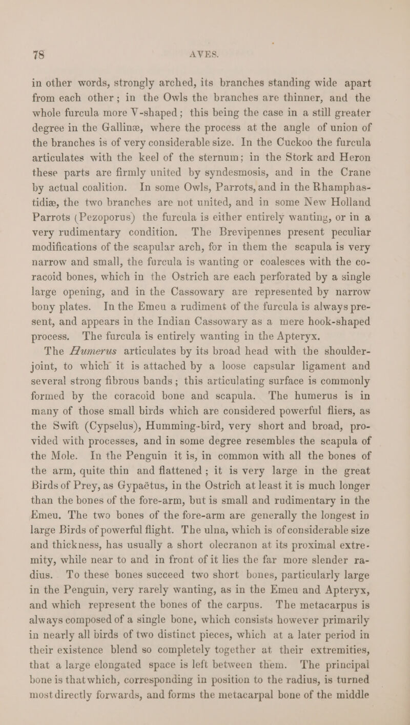 in other words, strongly arched, its branches standing wide apart from each other; in the Owls the branches are thinner, and the whole furcula more V-shaped; this being the case in a still greater degree in the Gallinz, where the process at the angle of union of the branches is of very considerable size. In the Cuckoo the furcula articulates with the keel of the sternum; in the Stork and Heron these parts are firmly united by syndesmosis, and in the Crane by actual coalition. In some Owls, Parrots, and in the Rhamphas- tidie, the two branches are not united, and in some New Holland Parrots (Pezoporus) the furcula is either entirely wanting, or in a very rudimentary condition. The Brevipennes present peculiar modifications of the scapular arch, for in them the scapula is very narrow and small, the furcula is wanting or coalesces with the co- racoid bones, which in the Ostrich are each perforated by a single large opening, and in the Cassowary are represented by narrow bony plates. In the Emeu a rudiment of the furcula is always pre- sent, and appears in the Indian Cassowary as a mere hook-shaped process. The furcula is entirely wanting in the Apteryx. The Humerus articulates by its broad head with the shoulder- joint, to which it is attached by a loose capsular ligament and several strong fibrous bands; this articulating surface is commonly formed by the coracoid bone and scapula. The humerus is in many of those small birds which are considered powerful fliers, as the Swift (Cypselus), Humming-bird, very short and broad, pro- vided with processes, and in some degree resembles the scapula of the Mole. In the Penguin it is, in common with all the bones of the arm, quite thin and flattened; it is very large in the great Birds of Prey, as Gypaétus, in the Ostrich at least it is much longer than the bones of the fore-arm, but is small and rudimentary in the Kmeu. The two bones of the fore-arm are generally the longest in large Birds of powerful flight. The ulna, which is of considerable size and thickness, has usually a short olecranon at its proximal extre- mity, while near to and in front of it lies the far more slender ra- dius. To these bones succeed two short bones, particularly large in the Penguin, very rarely wanting, as in the Emeu and Apteryx, and which represent the bones of the carpus. The metacarpus is always composed of a single bone, which consists however primarily in nearly all birds of two distinct pieces, which at a later period in their existence blend so completely together at their extremities, that a large elongated space is left between them. The principal bone is that which, corresponding in position to the radius, is turned most directly forwards, and forms the metacarpal bone of the middle