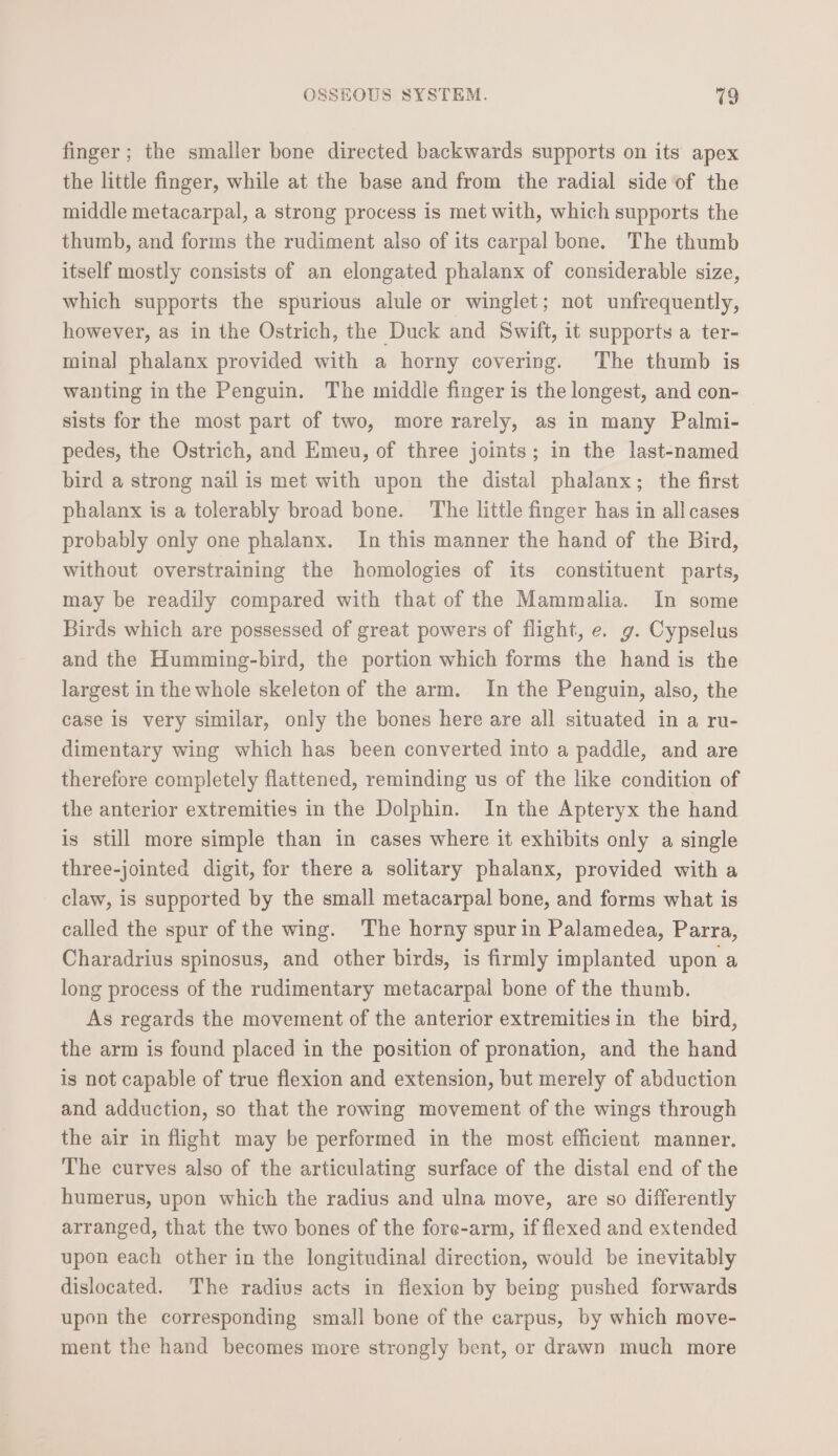 finger ; the smaller bone directed backwards supports on its apex the little finger, while at the base and from the radial side of the middle metacarpal, a strong process is met with, which supports the thumb, and forms the rudiment also of its carpal bone. The thumb itself mostly consists of an elongated phalanx of considerable size, which supports the spurious alule or winglet; not unfrequently, however, as in the Ostrich, the Duck and Swift, it supports a ter- minal phalanx provided with a horny covering. The thumb is wanting in the Penguin. The middle finger is the longest, and con- sists for the most part of two, more rarely, as in many Palmi- pedes, the Ostrich, and Emeu, of three joints; in the last-named bird a strong nail is met with upon the distal phalanx; the first phalanx is a tolerably broad bone. The little finger has in allcases probably only one phalanx. In this manner the hand of the Bird, without overstraining the homologies of its constituent parts, may be readily compared with that of the Mammalia. In some Birds which are possessed of great powers of flight, e. g. Cypselus and the Humming-bird, the portion which forms the hand is the largest in the whole skeleton of the arm. In the Penguin, also, the case is very similar, only the bones here are all situated in a ru- dimentary wing which has been converted into a paddle, and are therefore completely flattened, reminding us of the like condition of the anterior extremities in the Dolphin. In the Apteryx the hand is still more simple than in cases where it exhibits only a single three-jointed digit, for there a solitary phalanx, provided with a claw, is supported by the small metacarpal bone, and forms what is called the spur of the wing. The horny spur in Palamedea, Parra, Charadrius spinosus, and other birds, is firmly implanted upon a long process of the rudimentary metacarpal bone of the thumb. As regards the movement of the anterior extremities in the bird, the arm is found placed in the position of pronation, and the hand is not capable of true flexion and extension, but merely of abduction and adduction, so that the rowing movement of the wings through the air in flight may be performed in the most efficient manner. The curves also of the articulating surface of the distal end of the humerus, upon which the radius and ulna move, are so differently arranged, that the two bones of the fore-arm, if flexed and extended upon each other in the longitudinal direction, would be inevitably dislocated. The radius acts in flexion by being pushed forwards upon the corresponding small bone of the carpus, by which move- ment the hand becomes more strongly bent, or drawn much more