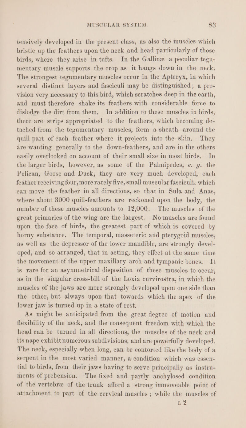 tensively developed in the present class, as also the muscles which bristle up the feathers upon the neck and head particularly of those birds, where they arise in tufts. In the Galline a peculiar tegu- mentary muscle supports the crop as it hangs down in the neck. The strongest tegumentary muscles occur in the Apteryx, in which several distinct layers and fasciculi may be distinguished; a pro- vision very necessary to this bird, which scratches deep in the earth, and must therefore shake its feathers with considerable force to dislodge the dirt from them. In addition to these muscles in birds, there are strips appropriated to the feathers, which becoming de- tached from the tegumentary muscles, form a sheath around the quill part of each feather where it projects into the skin. They are wanting generally to the down-feathers, and are in the others easily overlooked on account of their small size in most birds. In the larger birds, however, as some of the Palmipedes, e. g. the Pelican, Goose and Duck, they are very much developed, each feather receiving four, more rarely five, small muscular fasciculi, which can move the feather in all directions, so that in Sula and Anas, where about 3000 quill-feathers are reckoned upon the body, the number of these muscles amounts to 12,000. The muscles of the great primaries of the wing are the largest. No muscles are found upon the face of birds, the greatest part of which is covered by horny substance. The temporal, masseteric and pterygoid muscles, as well as the depressor of the lower mandible, are strongly devel- oped, and so arranged, that in acting, they effect at the same time the movement of the upper maxillary arch and tympanic bones. It is rare for an asymmetrical disposition of these muscles to occur, as in the singular cross-bill of the Loxia curvirostra, in which the muscles of the jaws are more strongly developed upon one side than the other, but always upon that towards which the apex of the lower jaw is turned up in a state of rest. As might be anticipated from the great degree of motion and flexibility of the neck, and the consequent freedom with which the head can be turned in all directions, the muscles of the neck and its nape exhibit numerous subdivisions, and are powerfully developed. The neck, especially when long, can be contorted like the body of a serpent in the most varied manner, a condition which was essen- tial to birds, from their jaws having to serve principally as instru- ments of prebension. The fixed and partly anchylosed condition of the vertebre of the trunk afford a strong immoveable point of attachment to part of the cervical muscles ; while the muscles of L2