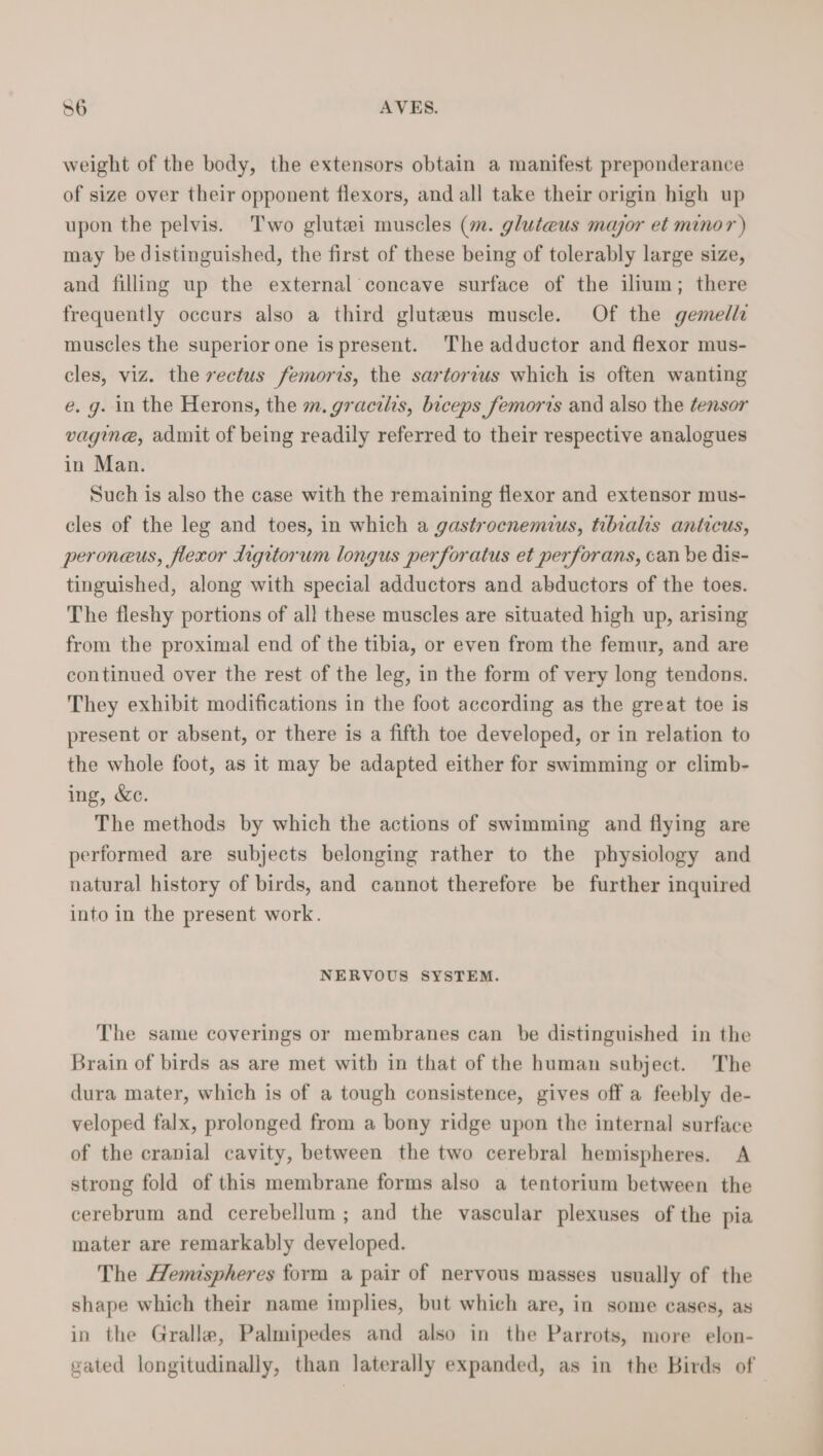 weight of the body, the extensors obtain a manifest preponderance of size over their opponent flexors, and all take their origin high up upon the pelvis. Two glutei muscles (m. gluteus major et minor) may be distinguished, the first of these being of tolerably large size, and filling up the external concave surface of the ilium; there frequently occurs also a third gluteus muscle. Of the gemelli muscles the superior one is present. The adductor and flexor mus- cles, viz. the rectus femoris, the sartorius which is often wanting e. g. in the Herons, the m. gracilis, biceps femoris and also the tensor vagine, admit of being readily referred to their respective analogues in Man. Such is also the case with the remaining flexor and extensor mus- cles of the leg and toes, in which a gastrocnemius, tibialis anticus, peroneus, flexor digitorum longus perforatus et perforans, can be dis- tinguished, along with special adductors and abductors of the toes. The fleshy portions of all these muscles are situated high up, arising from the proximal end of the tibia, or even from the femur, and are continued over the rest of the leg, in the form of very long tendons. They exhibit modifications in the foot according as the great toe is present or absent, or there is a fifth toe developed, or in relation to the whole foot, as it may be adapted either for swimming or climb- ing, Xe. The methods by which the actions of swimming and flying are performed are subjects belonging rather to the physiology and natural history of birds, and cannot therefore be further inquired into in the present work. NERVOUS SYSTEM. The same coverings or membranes can be distinguished in the Brain of birds as are met witb in that of the human subject. The dura mater, which is of a tough consistence, gives off a feebly de- veloped falx, prolonged from a bony ridge upon the internal surface of the cranial cavity, between the two cerebral hemispheres. A strong fold of this membrane forms also a tentorium between the cerebrum and cerebellum ; and the vascular plexuses of the pia mater are remarkably developed. The Hemispheres form a pair of nervous masses usually of the shape which their name implies, but which are, in some cases, as in the Gralle, Palmipedes and also in the Parrots, more elon- gated longitudinally, than laterally expanded, as in the Birds of