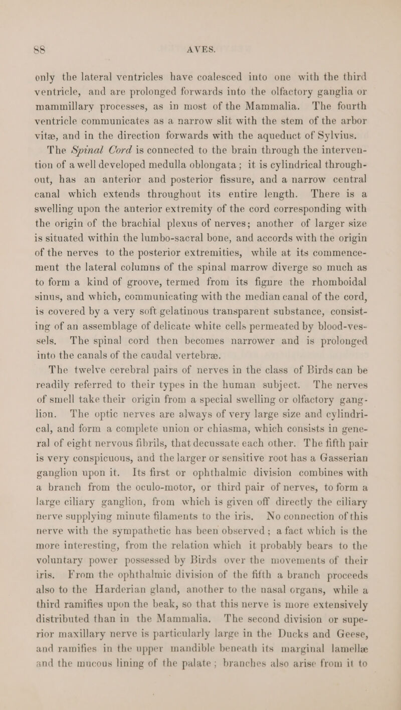 &amp;8 AVES. only the lateral ventricles have coalesced into one with the third ventricle, and are prolonged forwards into the olfactory ganglia or mammillary processes, as in most of the Mammalia. The fourth ventricle communicates as a narrow slit with the stem of the arbor vite, and in the direction forwards with the aqueduct of Sylvius. The Spinal Cord is connected to the brain through the interven- tion of a well developed medulla oblongata ; it is cylindrical through- out, has an anterior and posterior fissure, and a narrow central canal which extends throughout its entire length. There is a swelling upon the anterior extremity of the cord corresponding with the origin of the brachial plexus of nerves; another of larger size is situated within the lumbo-sacral bone, and accords with the origin of the nerves to the posterior extremities, while at its commence- ment the lateral columns of the spinal marrow diverge so much as to form a kind of groove, termed from its figure the rhomboidal sinus, and which, communicating with the median canal of the cord, is covered by a very soft gelatinous transparent substance, consist- ing of an assemblage of delicate white cells permeated by blood-ves- sels, The spinal cord then becomes narrower and is prolonged into the canals of the caudal vertebra. The twelve cerebral pairs of nerves in the class of Birds can be readily referred to their types in the human subject. The nerves of smell take their origin from a special swelling or olfactory gang- lion. The optic nerves are always of very large size and cylindri- cal, and form a complete union or chiasma, which consists in gene- ral of eight nervous fibrils, that decussate each other. The fifth pair is very conspicuous, and the larger or sensitive root has a Gasserian ganglion upon it. Its first or ophthalmic division combines with a branch from the oculo-motor, or third pair of nerves, to form a large ciliary ganglion, from which is given off directly the ciliary nerve supplying minute filaments to the iris, No connection of this nerve with the sympathetic has been observed; a fact which is the more interesting, from the relation which it probably bears to the voluntary power possessed by Birds over the movements of their iris. From the ophthalmic division of the fifth a branch proceeds also to the Harderian gland, another to the nasal organs, while a third ramifies upon the beak, so that this nerve is more extensively distributed than in the Mammalia. The second division or supe- rior maxillary nerve is particularly large in the Ducks and Geese, and ramifies in the upper mandible beneath its marginal lamellee and the mucous lining of the palate; branches also arise from it to