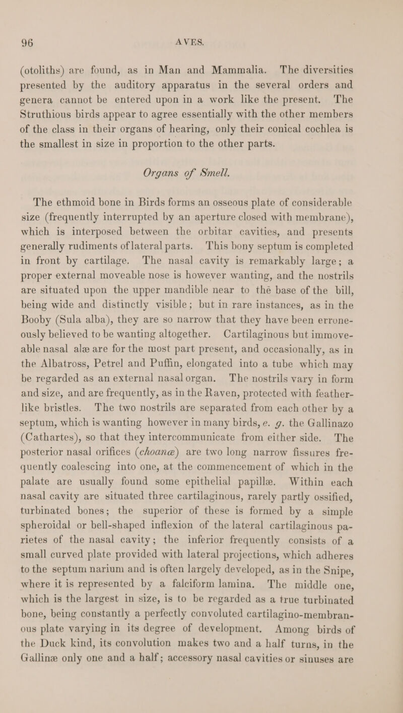 (otoliths) are found, as in Man and Mammalia. The diversities presented by the auditory apparatus in the several orders and genera cannot be entered upon in a work like the present. The Struthious birds appear to agree essentially with the other members of the class in their organs of hearing, only their conical cochlea is the smallest in size in proportion to the other parts. | Organs of Smell. The ethmoid bone in Birds forms an osseous plate of considerable size (frequently interrupted by an aperture closed with membrane), which is interposed between the orbitar cavities, and presents generally rudiments oflateral parts. This bony septum is completed in front by cartilage. The nasal cavity is remarkably large; a proper external moveable nose is however wanting, and the nostrils are situated upon the upper mandible near to thé base of the bill, being wide and distinctly visible; but in rare instances, as in the Booby (Sula alba), they are so narrow that they have been errone- ously believed to be wanting altogether. Cartilaginous but immove- able nasal ale are for the most part present, and occasionally, as in the Albatross, Petrel and Puffin, elongated into a tube which may be regarded as an external nasalorgan. The nostrils vary in form and size, and are frequently, as in the Raven, protected with feather- like bristles. The two nostrils are separated from each other by a septum, which is wanting however in many birds, e. g. the Gallinazo (Cathartes), so that they intercommunicate from either side. The posterior nasal orifices (choane) are two long narrow fissures fre- quently coalescing into one, at the commencement of which in the palate are usually found some epithelial papille. Within each nasal cavity are situated three cartilaginous, rarely partly ossified, turbinated bones; the superior of these is formed by a simple spheroidal or bell-shaped inflexion of the lateral cartilaginous pa- rietes of the nasal cavity; the inferior frequently consists of a small curved plate provided with lateral projections, which adheres to the septum narium and is often largely developed, as in the Snipe, where it is represented by a falciform lamina. The middle one, which is the largest in size, is to be regarded as a true turbinated bone, being constantly a perfectly convoluted cartilagino-membran- ous plate varying in its degree of development. Among birds of the Duck kind, its convolution makes two and a half turns, in the Galline only one and a half; accessory nasal cavities or sinuses are