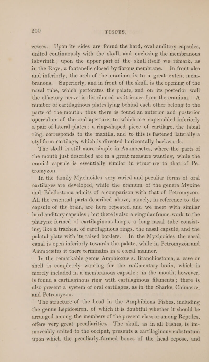 cesses. Upon its sides are found the hard, oval auditory capsules, united continuously with the skull, and enclosing the membranous labyrinth ; upon the upper part of the skull itself we remark, as in the Rays, a fontanelle closed by fibrous membrane. In front also and inferiorly, the arch of the cranium is to a great extent mem- branous. Superiorly, and in front of the skull, is the opening of the nasal tube, which perforates the palate, and on its posterior wall the olfactory nerve is distributed as it issues from the cranium. A number of cartilaginous plates lying behind each other belong to the parts of the mouth: thus there is found an anterior and posterior operculum of the oral aperture, to which are superadded inferiorly a pair of lateral plates; a ring-shaped piece of cartilage, the labial ring, corresponds to the maxilla, and to this is fastened laterally a styliform cartilage, which is directed horizontally backwards. The skull is still more simple in Ammocztes, where the parts of the mouth just described are in a great measure wanting, while the cranial capsule is essentially similar in structure to that of Pe- tromyzon. In the family Myxinoides very varied and peculiar forms of oral cartilages are developed, while the cranium of the genera Myxine and Bdellostoma admits of a comparison with that of Petromyzon. All the essential parts described above, namely, in reference to the capsule of the brain, are here repeated, and we meet with similar hard auditory capsules ; but there is also a singular frame-work to the pharynx formed of cartilaginous hoops, a long nasal tube consist- ing, like a trachea, of cartilaginous rings, the nasal capsule, and the palatal plate with its raised borders. In the Myxinoides the nasal canal is open inferiorly towards the palate, while in Petromyzon and Ammocetes it there terminates in a coecal manner. In the remarkable genus Amphioxus s. Branchiostoma, a case or shell is completely wanting for the rudimentary brain, which is merely included in a membranous capsule ; in the mouth, however, is found a cartilaginous ring with cartilaginous filaments; there is also present a system of oral cartilages, as in the Sharks, Chimere, and Petromyzon. The structure of the head in the Amphibious Fishes, including the genus Lepidosiren, of which it is doubtful whether it should be arranged among the members of the present class or among Reptiles, offers very great peculiarities. ‘The skull, as in all Fishes, is im- moveably united to the occiput, presents a cartilaginous substratum upon which the peculiarly-formed bones of the head repose, and