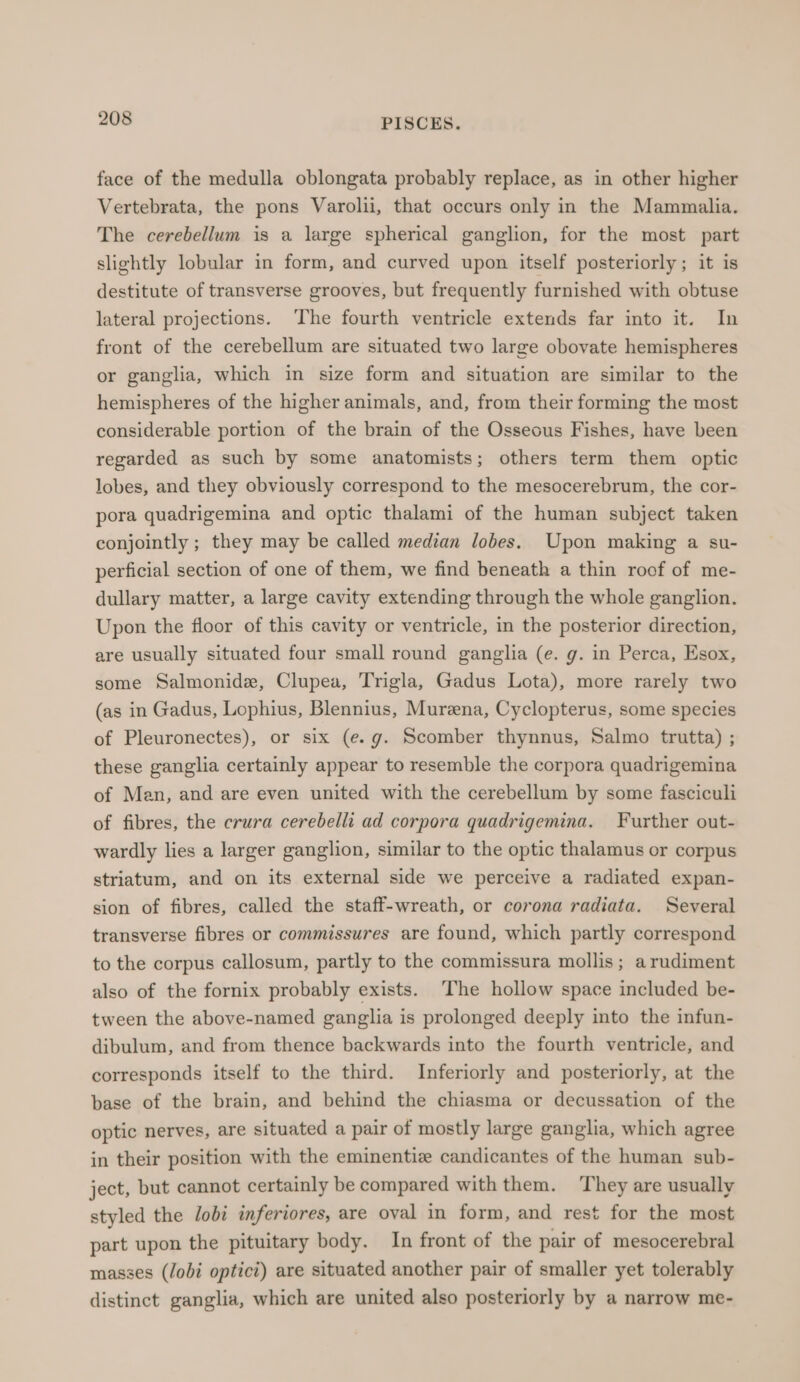 face of the medulla oblongata probably replace, as in other higher Vertebrata, the pons Varolii, that occurs only in the Mammalia. The cerebellum is a large spherical ganglion, for the most part slightly lobular in form, and curved upon itself posteriorly; it is destitute of transverse grooves, but frequently furnished with obtuse lateral projections. The fourth ventricle extends far into it. In front of the cerebellum are situated two large obovate hemispheres or ganglia, which in size form and situation are similar to the hemispheres of the higher animals, and, from their forming the most considerable portion of the brain of the Osseous Fishes, have been regarded as such by some anatomists; others term them optic lobes, and they obviously correspond to the mesocerebrum, the cor- pora quadrigemina and optic thalami of the human subject taken conjointly ; they may be called median lobes. Upon making a su- perficial section of one of them, we find beneath a thin roof of me- dullary matter, a large cavity extending through the whole ganglion. Upon the floor of this cavity or ventricle, in the posterior direction, are usually situated four small round ganglia (e. g. in Perca, Esox, some Salmonidz, Clupea, Trigla, Gadus Lota), more rarely two (as in Gadus, Lophius, Blennius, Murena, Cyclopterus, some species of Pleuronectes), or six (e.g. Scomber thynnus, Salmo trutta) ; these ganglia certainly appear to resemble the corpora quadrigemina of Man, and are even united with the cerebellum by some fasciculi of fibres, the crura cerebelli ad corpora quadrigemina. Further out- wardly lies a larger ganglion, similar to the optic thalamus or corpus striatum, and on its external side we perceive a radiated expan- sion of fibres, called the staff-wreath, or corona radiata. Several transverse fibres or commissures are found, which partly correspond to the corpus callosum, partly to the commissura mollis; a rudiment also of the fornix probably exists. The hollow space included be- tween the above-named ganglia is prolonged deeply into the infun- dibulum, and from thence backwards into the fourth ventricle, and corresponds itself to the third. Inferiorly and posteriorly, at the base of the brain, and behind the chiasma or decussation of the optic nerves, are situated a pair of mostly large ganglia, which agree in their position with the eminentiz candicantes of the human sub- ject, but cannot certainly be compared with them. They are usually styled the lobi inferiores, are oval in form, and rest for the most part upon the pituitary body. In front of the pair of mesocerebral masses (lobi opticz) are situated another pair of smaller yet tolerably distinct ganglia, which are united also posteriorly by a narrow me-