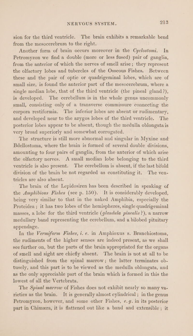 sion for the third ventricle. The brain exhibits a remarkable bend from the mesocerebrum to the right. Another form of brain occurs moreover in the Cyclostomi. In Petromyzon we find a double (more or less fused) pair of ganglia, from the anterior of which the nerves of smell arise; they represent the olfactory lobes and tubercles of the Osseous Fishes. Between these and the pair of optic or quadrigeminal lobes, which are of small size, is found the anterior part of the mesocerebrum, where a single median lobe, that of the third ventricle (the pineal gland ?), is developed. The cerebellum is in the whole genus uncommonly small, consisting only of a transverse commissure connecting the corpora restiformia. The inferior lobes are absent or rudimentary, and developed near to the azygos lobes of the third ventricle. The posterior lobes appear to be absent, though the medulla oblongata is very broad superiorly and somewhat corrugated. The structure is still more abnormal and singular in Myxine and Bdellostoma, where the brain is formed of several double divisions, amounting to four pairs of ganglia, from the anterior of which arise the olfactory nerves. A small median lobe belonging to the third ventricle is also present. The cerebellum is absent, if the last bifold division of the brain be not regarded as constituting it. The ven- tricles are also absent. The brain of the Lepidosiren has been described in speaking of the Amphibious Fishes (see p. 150). It is considerably developed, being very similar to that in the naked Amphibia, especially the Proteidea ; it has two lobes of the hemispheres, single quadrigeminal masses, a lobe for the third ventricle (glandula pinealis ?), a narrow medullary band representing the cerebellum, and a bilobed pituitary appendage. In the Vermiform Fishes, i. e. in Amphioxus s. Branchiostoma, the rudiments of the higher senses are indeed present, as we shall see further on, but the parts of the brain appropriated for the organs of smell and sight are chiefly absent. The brain is not at all to be distinguished from the spinal marrow; the latter terminates ob- tusely, and this part is to be viewed as the medulla oblongata, and as the only appreciable part of the brain which is formed in this the lowest of all the Vertebrata. The Spinal marrow of Fishes does not exhibit nearly so many va- rieties as the brain. It is generally almost cylindrical ; in the genus Petromyzon, however, and some other Fishes, e.g. in its posterior part in Chimeera, it is flattened out like a band and extensible ; it