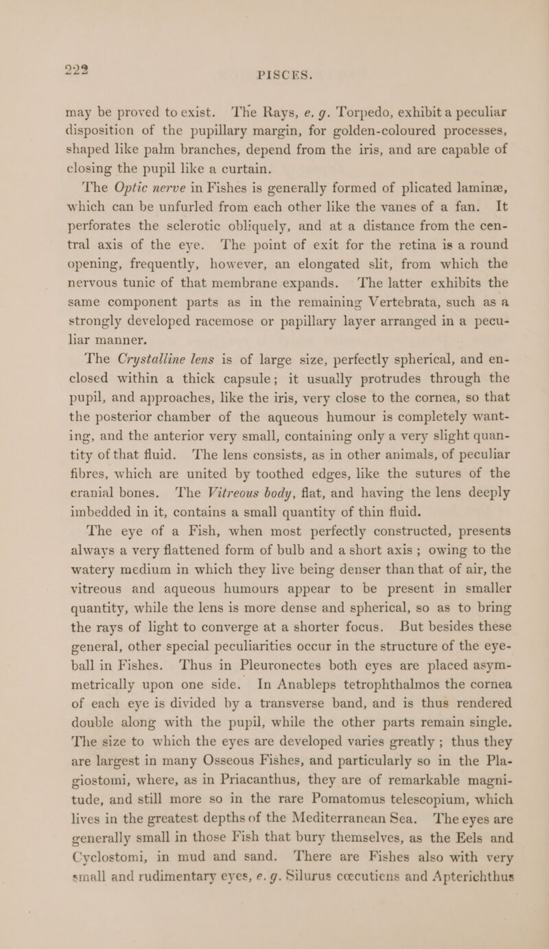 may be proved toexist. The Rays, e. g. Torpedo, exhibit a peculiar disposition of the pupillary margin, for golden-coloured processes, shaped like palm branches, depend from the iris, and are capable of closing the pupil like a curtain. The Optic nerve in Fishes is generally formed of plicated lamine, which can be unfurled from each other like the vanes of a fan. It perforates the sclerotic obliquely, and at a distance from the cen- tral axis of the eye. The point of exit for the retina is a round opening, frequently, however, an elongated slit, from which the nervous tunic of that membrane expands. The latter exhibits the same component parts as in the remaining Vertebrata, such as a strongly developed racemose or papillary layer arranged in a pecu- lar manner. The Crystalline lens is of large size, perfectly spherical, and en- closed within a thick capsule; it usually protrudes through the pupil, and approaches, like the iris, very close to the cornea, so that the posterior chamber of the aqueous humour is completely want- ing, and the anterior very small, containing only a very slight quan- tity of that fluid. The lens consists, as in other animals, of peculiar fibres, which are united by toothed edges, like the sutures of the eranial bones. The Vitreous body, flat, and having the lens deeply imbedded in it, contains a small quantity of thin fluid. The eye of a Fish, when most perfectly constructed, presents always a very flattened form of bulb and a short axis ; owing to the watery medium in which they live being denser than that of air, the vitreous and aqueous humours appear to be present in smaller quantity, while the lens is more dense and spherical, so as to bring the rays of light to converge at a shorter focus. But besides these general, other special peculiarities occur in the structure of the eye- ball in Fishes. Thus in Pleuronectes both eyes are placed asym- metrically upon one side. In Anableps tetrophthalmos the cornea of each eye is divided by a transverse band, and is thus rendered double along with the pupil, while the other parts remain single. The size to which the eyes are developed varies greatly ; thus they are largest in many Osseous Fishes, and particularly so in the Pla- giostomi, where, as in Priacanthus, they are of remarkable magni- tude, and still more so in the rare Pomatomus telescopium, which lives in the greatest depths of the Mediterranean Sea. The eyes are generally small in those Fish that bury themselves, as the Eels and Cyclostomi, in mud and sand. There are Fishes also with very small and rudimentary eyes, e. g. Silurus ccecutiens and Apterichthus