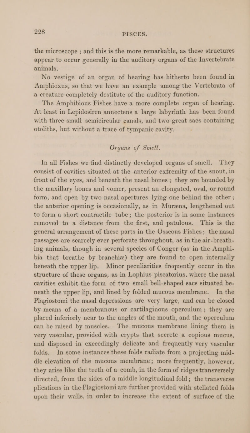 the microscope ; and this is the more remarkable, as these structures appear to occur generally in the auditory organs of the Invertebrate animals, No vestige of an organ of hearing has hitherto been found in Amphioxus, so that we have an example among the Vertebrata of a creature completely destitute of the auditory function. The Amphibious Fishes have a more complete organ of hearing. At least in Lepidosiren annectens a large labyrinth has been found with three small semicircular canals, and two great sacs containing otoliths, but without a trace of tympanic cavity. Organs of Smell. In all Fishes we find distinctly developed organs of smell. They consist of cavities situated at the anterior extremity of the snout, in front of the eyes, and beneath the nasal bones; they are bounded by the maxillary bones and vomer, present an elongated, oval, or round form, and open by two nasal apertures lying one behind the other ; the anterior opening is occasionally, as in Murena, lengthened out to form a short contractile tube; the posterior is in some instances removed to a distance from the first, and patulous. This is the general arrangement of these parts in the Osseous Fishes; the nasal passages are scarcely ever perforate throughout, as in the air-breath- ing animals, though in several species of Conger (as in the Amphi- bia that breathe by branchie) they are found to open internally beneath the upper lip. Minor peculiarities frequently occur in the structure of these organs, as in Lophius piscatorius, where the nasal cavities exhibit the form of two small bell-shaped sacs situated be- neath the upper lip, and lined by folded mucous membrane. In the Plagiostomi the nasal depressions are very large, and can be closed by means of a membranous or cartilaginous operculum; they are placed inferiorly near to the angles of the mouth, and the operculum can be raised by muscles. ‘The mucous membrane lining them is very vascular, provided with crypts that secrete a copious mucus, and disposed in exceedingly delicate and frequently very vascular folds. In some instances these folds radiate from a projecting mid- dle elevation of the mucous membrane; more frequently, however, they arise like the teeth of a comb, in the form of ridges transversely directed, from the sides of a middle longitudinal fold; the transverse plications in the Plagiostomi are further provided with stellated folds upon their walls, in order to increase the extent of surface of the