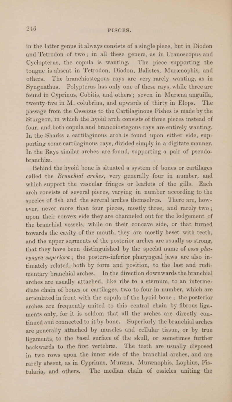 in the latter genus it always consists of a single piece, but in Diodon and Tetrodon of two; in all these genera, as in Uranoscopus and Cyclopterus, the copula is wanting. The piece supporting the tongue is absent in Tetrodon, Diodon, Balistes, Mursnophis, and others. The branchiostegous rays are very rarely wanting, as in Syngnathus. Polypterus has only one of these rays, while three are found in Cyprinus, Cobitis, and others; seven in Murena anguilla, twenty-five in M. colubrina, and upwards of thirty in Elops. The passage from the Osseous to the Cartilaginous Fishes is made by the Sturgeon, in which the hyoid arch consists of three pieces instead of four, and both copula and branchiostegous rays are entirely wanting. In the Sharks a cartilaginous arch is found upon either side, sup- porting some cartilaginous rays, divided simply in a digitate manner. In the Rays similar arches are found, supporting a pair of pseudo- branchie. 4 Behind the hyoid bone is situated a system of bones or cartilages called the Branchial arches, very generally four in number, and which support the vascular fringes or leaflets of the gills. Each arch consists of several pieces, varying in number according to the species of fish and the several arches themselves. ‘here are, how- ever, never more than four pieces, mostly three, and rarely two ; upon their convex side they are channeled out for the lodgement of the branchial vessels, while on their concave side, or that turned towards the cavity of the mouth, they are mostly beset with teeth, and the upper segments of the posterior arches are usually so strong, that they have been distinguished by the special name of ossa pha- ryngea superiora ; the postero-inferior pharyngeal jaws are also in- timately related, both by form and position, to the last and rudi- mentary branchial arches. In the direction downwards the branchial arches are usually attached, like ribs to a sternum, to an interme- diate chain of bones or cartilages, two to four in number, which are articulated in front with the copula of the hyoid bone ; the posterior arches are frequently united to this central chain by fibrous liga- ments only, for it is seldom that all the arches are directly con- tinued and connected to it by bone. Superiorly the branchial arches are generally attached by muscles and cellular tissue, or by true ligaments, to the basal surface of the skull, or sometimes further backwards to the first vertebre. The teeth are usually disposed in two rows upon the inner side of the branchial arches, and are rarely absent, as in Cyprinus, Mureena, Murenophis, Lophius, Fis- tularia, and others. The median chain of ossicles uniting the