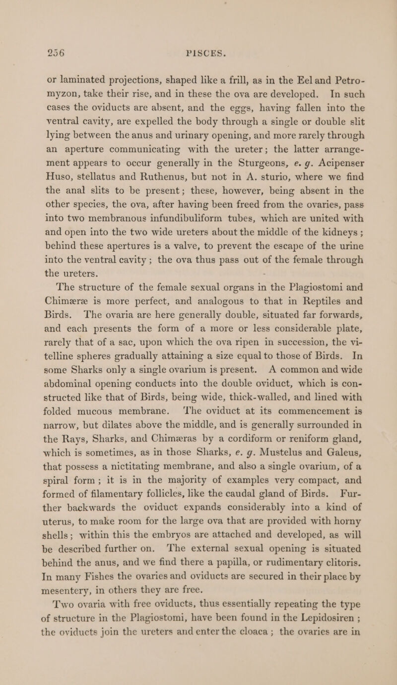 or laminated projections, shaped like a frill, as in the Eel and Petro- myzon, take their rise, and in these the ova are developed. In such cases the oviducts are absent, and the eggs, having fallen into the ventral cavity, are expelled the body through a single or double slit lying between the anus and urinary opening, and more rarely through an aperture communicating with the ureter; the latter arrange- ment appears to occur generally in the Sturgeons, e. g. Acipenser Huso, stellatus and Ruthenus, but not in A. sturio, where we find the anal slits to be present; these, however, being absent in the other species, the ova, after having been freed from the ovaries, pass into two membranous infundibuliform tubes, which are united with and open into the two wide ureters about the middle of the kidneys ; behind these apertures is a valve, to prevent the escape of the urine into the ventral cavity ; the ova thus pass out of the female through the ureters. The structure of the female sexual organs in the Plagiostomi and Chimere is more perfect, and analogous to that in Reptiles and Birds. The ovaria are here generally double, situated far forwards, and each presents the form of a more or less considerable plate, rarely that of a sac, upon which the ova ripen in succession, the vi- telline spheres gradually attaining a size equal to those of Birds. In some Sharks only a single ovarium is present. A common and wide abdominal opening conducts into the double oviduct, which is con- structed like that of Birds, being wide, thick-walled, and lined with folded mucous membrane. ‘The oviduct at its commencement is narrow, but dilates above the middle, and is generally surrounded in the Rays, Sharks, and Chimeras by a cordiform or reniform gland, which is sometimes, as in those Sharks, e. g. Mustelus and Galeus, that possess a nictitating membrane, and also a single ovarium, of a spiral form ; it is in the majority of examples very compact, and formed of filamentary follicles, like the caudal gland of Birds. Fur- ther backwards the oviduct expands considerably into a kind of uterus, to make room for the large ova that are provided with horny shells; within this the embryos are attached and developed, as will be described further on. The external sexual opening is situated behind the anus, and we find there a papilla, or rudimentary clitoris. In many Fishes the ovaries and oviducts are secured in their place by mesentery, in others they are free. Two ovaria with free oviducts, thus essentially repeating the type of structure in the Plagiostomi, have been found in the Lepidosiren ; the oviducts join the ureters and enter the cloaca ; the ovaries are in