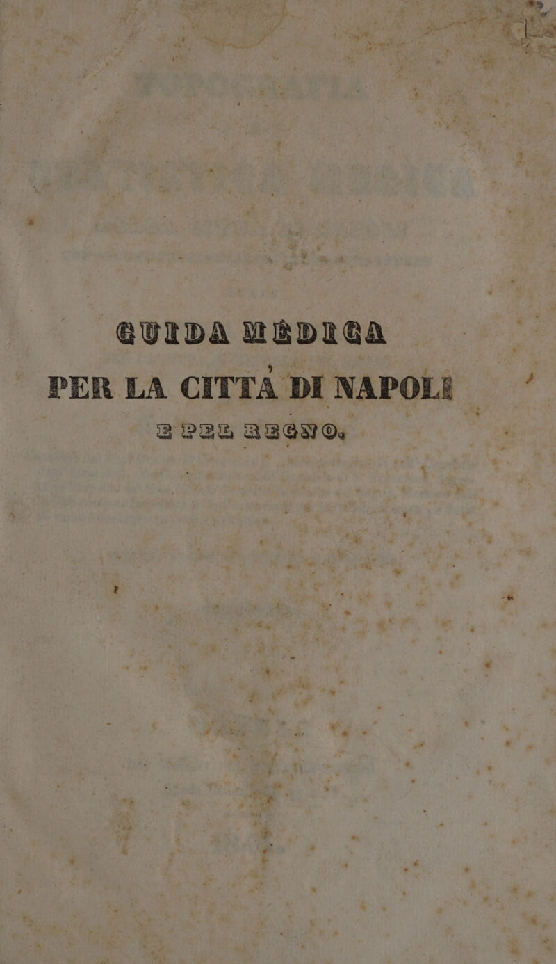 va SO » i “o “ - N de fue? 443 € > < * 7 w ® i . ® GUIDA MEDIGA PER LA CITTA DI NAPOLE. 3 PEÙ REGNO. | 4 La a - Y di P Ri [79 19 » ONE 2 ; P [ad pP” *. A è @ È, - x 0 i Li ® - * r Pd 4 . LA n x PS à. I” Fot CA o bi È # è + è ® *