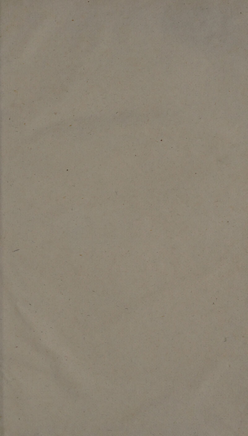 28 vi sd Lupo > Egidi