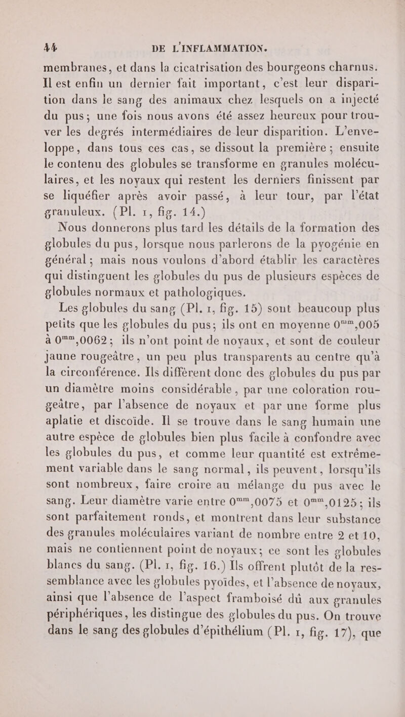 membranes, et dans la cicatrisation des bourgeons charnus. Il est enfin un dernier fait important, c’est leur dispari- tion dans le sang des animaux chez lesquels on a injecté du pus; une fois nous avons été assez heureux pour trou- ver les degrés intermédiaires de leur disparition. L’enve- loppe, dans tous ces cas, se dissout la première ; ensuite le contenu des globules se transforme en granules molécu- laires, et les noyaux qui restent les derniers finissent par se liquéfier après avoir passé, à leur tour, par l'état granuleux. (PI. 1, fig. 14.) Nous donnerons plus tard les détails de la formation des globules du pus, lorsque nous parlerons de la pyogénie en général; mais nous voulons d’abord établir les caractères qui distinguent les globules du pus de plusieurs espèces de globules normaux et pathologiques. Les globules du sang (PI, 1, fig. 15) sont beaucoup plus petits que les globules du pus; ils ont en moyenne 0°*,005 à 0**,0062; ils n’ont point de noyaux, et sont de couleur jaune rougeätre, un peu plus transparents au centre qu’à la circonférence. Ils diffèrent donc des globules du pus par un diamètre moins considérable, par une coloration rou- geûtre, par l’absence de noyaux et par une forme plus aplatie et discoïde. Il se trouve dans le sang humain une autre espèce de globules bien plus facile à confondre avec les globules du pus, et comme leur quantité est extrême- ment variable dans le sang normal, ils peuvent, lorsqu'ils sont nombreux, faire croire au mélange du pus avec le sang. Leur diamètre varie entre 0,0075 et 0®%,01925 ; ils sont parfaitement ronds, et montrent dans leur substance des granules moléculaires variant de nombre entre 2 et 19, mais ne contiennent point de noyaux; ce sont les slobules blancs du sang. (PL. x, fig. 16.) Ils offrent plutôt de la res- semblance avec les globules pyoïdes, et l'absence de noyaux, ainsi que l'absence de l'aspect framboisé dû aux granules périphériques, les distingue des globules du pus. On trouve dans le sang des globules d’épithélium (PL. r, fig. 17), que