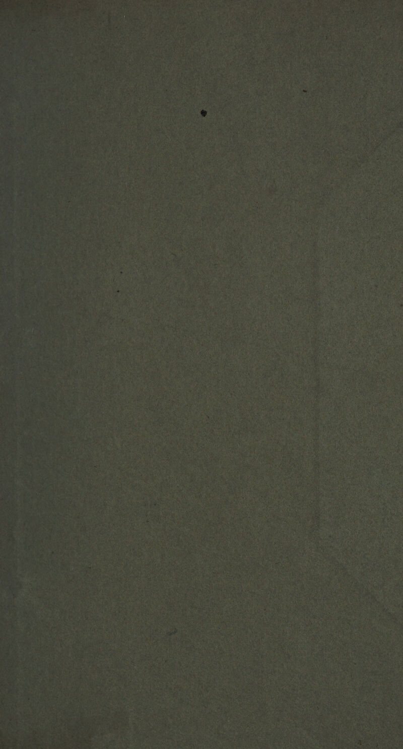 Far a BR Bir A > DREI