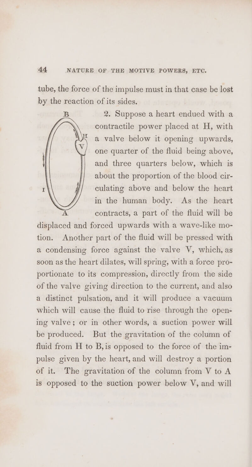 tube, the force of the impulse must in that case be lost by the reaction of its sides. 2. Suppose a heart endued with a contractile power placed at H, with a valve below it opening upwards, one quarter of the fluid being above, and three quarters below, which is about the proportion of the blood cir- culating above and below the heart in the human body. As the heart contracts, a part of the fluid will be displaced and forced upwards with a wave-like mo- tion. Another part of the fluid will be pressed with a condensing force against the valve V, which, as soon as the heart dilates, will spring, with a force pro- portionate to its compression, directly from the side of the valve giving direction to the current, and also a distinct pulsation, and it will produce a vacuum which will cause the fluid to rise through the open- ing valve; or in other words, a suction power will be produced. But the gravitation of the column of fluid from H to B,is opposed to the force of the im- pulse given by the heart, and will destroy a portion of it. The gravitation of the column from V to A is opposed to the suction power below V, and will