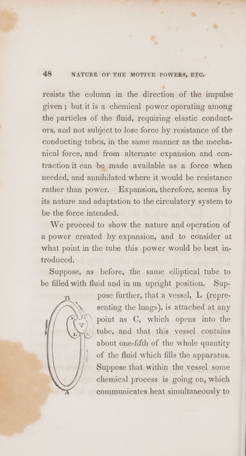 tf resists the column in the direction of the impulse given; but it is a chemical power operating among the particles of the fluid, requiring elastic conduct- ors, and not subject to lose force by resistance of the conducting tubes, in the same manner as the mecha- nical force, and from alternate expansion and con- traction it can be made available as a force when needed, and annihilated where it would be resistance rather than power. Expansion, therefore, seems by its nature and adaptation to the circulatory system to be the force intended. We proceed to show the nature and operation of a power created by expansion, and to consider at what point in the tube this power would be best in- troduced. Suppose, as before, the same elliptical tube to be filled with fluid and in an upright position. Sup- pose further, that a vessel, L (repre- senting the lungs), is attached at any point as C, which opens into the tube, and that this vessel contains about one-fifth of the whole quantity of the fluid which fills the apparatus. Suppose that within the vessel some chemical process is going on, which communicates heat simultaneously to