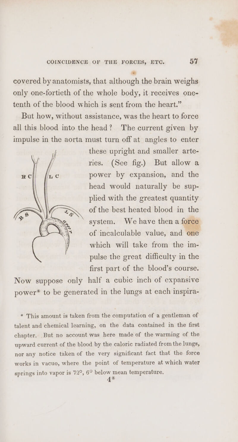 - covered by anatomists, that although the brain weighs only one-fortieth of the whole body, it receives one- tenth of the blood which is sent from the heart.” But how, without assistance, was the heart to force all this blood into the head? The current given by impulse in the aorta must turn off at angles to enter these upright and smaller arte- ries. (See fig.) But allow a power by expansion, and the head would naturally be sup- plied with the greatest quantity of the best heated blood in the system. We have then a fe ore 3 .o = of incalculable value, and o e which will take from the im- pulse the great difficulty in the first part of the blood’s course. Now suppose only half a cubic inch of expansive power* to be generated in the lungs at each inspira- * This amount is taken from the computation of a gentleman of talent and chemical learning, on the data contained in the first chapter. But no account was here made of the warming of the upward current of the blood by the caloric radiated from the lungs, nor any notice taken of the very significant fact that the force works in vacuo, where the point of temperature at which water springs into vapor is 72°, 6° below mean temperature. 4%*