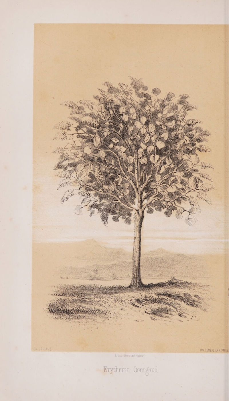 nn « IMP_LEMERCIER À PARIS!