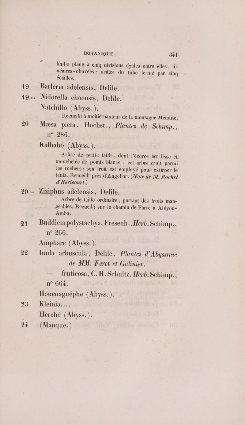 19 19 bis 20 : 20 bis 21 22 BOTANIQUE. 341 limbe plane à cinq divisions égales entre elles, li- néaires -obovées ; orifice on tube fermé par cinq écailles. Barleria adelensis, Delile. Nidorella choensis, Delile. Natchillo (Abyss.). Recueilli à moitié hauteur de la montagne Métatite. Mosa picta, Hochst., Plantes de Schimp. , n° 286. Arbre de petite taille, dont l'écorce est lisse et mouchetée de points blancs : cet arbre croit parmi les rochers ; son fruit est employé pour extirper le ténia. Recueils près HAASPRET (Note de M. Rochet d'Héricourt.) Ziziphus adelensis, Delile. Arbre de taille ordinaire, portant des fruits man- geables. Recueilli sur le hein de Farré à Alévou- Amba, Buddleia polystachya, Fresenh., Herb. Schimp.., n° 266. Amphare (Abyss. ). Inula arbuseula, Delile, Plantes d'Abyssinie de MM. Feret et Galinier. — fruticosa, C. H. Schultz, Herb. at 4 n° 664. Houenaguéphe Si Ye Kleinia.… Herché Fr (Manque. )