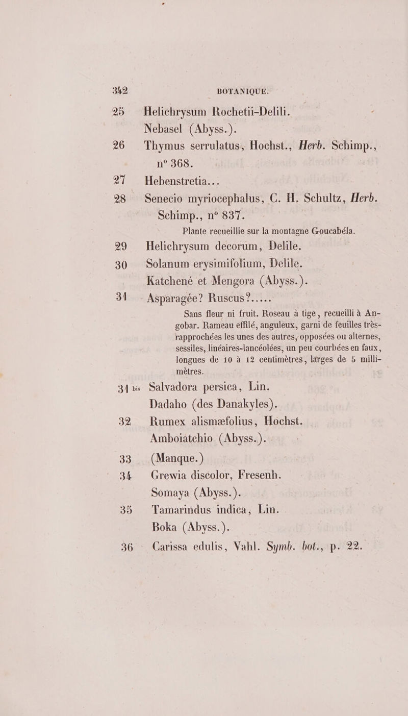 31 33 34 39 36 BOTANIQUE. Helichrysum Rochetii-Delil. Nebasel (Abyss.). Thymus serrulatus, Hochst., Herb. Schimp., n° 368. | | Hebenstretia… Senecio myriocephalus, C. H. Schultz, Herb. Schimp., n° 837. Plante recueillie sur la montagne Goucabéla. Helichrysum decorum, Delile. RALÇAENe et Le ps (Abyss.). Sans fleur ni fruit. Roseau à tige, recueilli à An- gobar. Rameau effilé, anguleux, garni de feuilles très- rapprochées les unes dé autres, opposées ou alternes, sessiles, linéaires-lancéolées, un peu courbées en faux, longues de 10 à 12 centimètres, larges de 5 milli- mètres. Salvadora persica, Lin. Dadaho (des Danakyles). Rumex alismæfolius, Hochst. Amboiatchio (Abyss.). (Manque. ) Grewia discolor, Fresenh. Somaya (Abyss.). Tamarindus indica, Lin. Boka (Abyss.). Carissa edulis, Vahl. Symb. bot., p. 22.