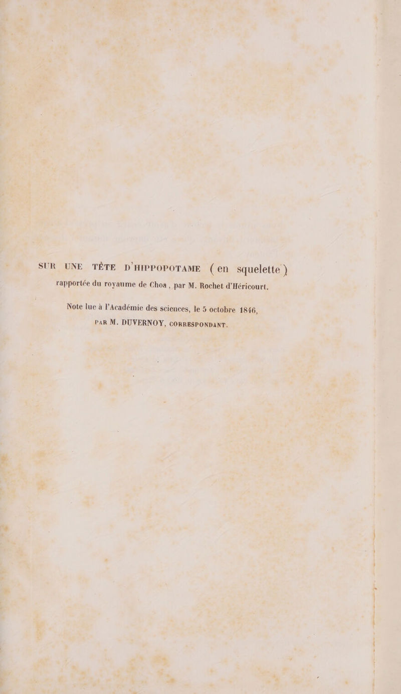 SUR UNE TÊTE D'HIPPOPOTAME (en squelette } rapportée du royaume de Choa, par M. Rochet d'Héricourt. Note lue à l'Académie des sciences, le 5 octobre 1846, PaR M. DUVERNOY, CORRESPONDANT.