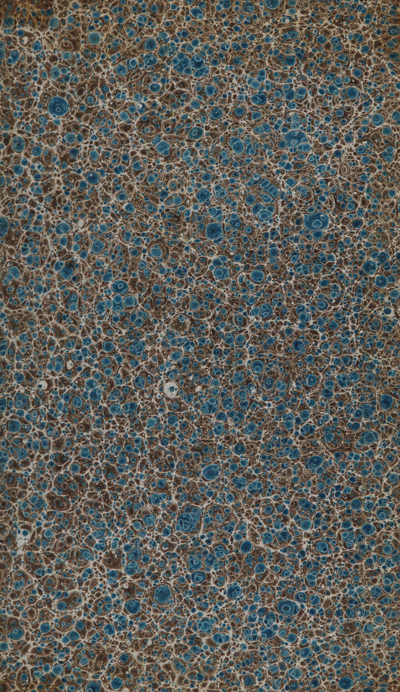 Ÿ PR? Se ed Er où É ARS IEE PA? G . APE À A, y : RATS] GR + Ho L ya ( 2h j 8. 4 24 <4 4 ‘ , ,, 4 LT l = #, f mi.) s