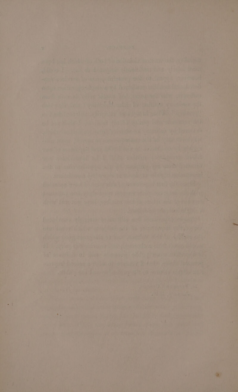 : Te hy aoe anes ah hs) a ‘1 are eh OF teri fea ;  $i: ‘ ae ane 4 ee an mn eg ay walle ba Utsseid ik ay  “ os “ae! nei eh om ih tig mar Pt 4 ie his 2 hee aie Plies, Vs Gheksx. 4 a iat oe ites ov ast ii wy ict ; PRM VE Bi 4 : e © Pee f a es. += Seba Gs ofuig teh ol bine tote 6 gti j per i oe © 18 ed ‘ seks, a ase at bid