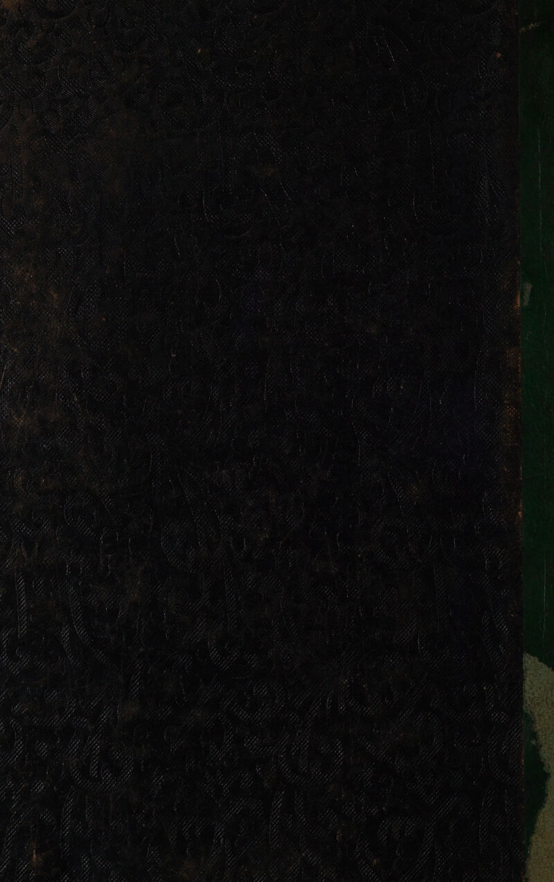 N SESERN en ae &gt; J Eh