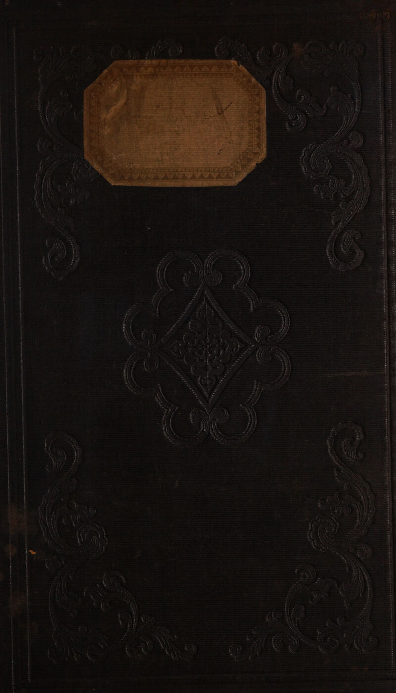 hart : mA : suse ; os “ee fate 6 hoy An rates ’ gle eeeatniOh Hiecsscieraltim: #9 “ i . : =. te » fecetep sere be el A Sin ec weed nee Doge t Pat i eaeneeee i Be 9 | ; 7 7. wey ewneperae o beeee . a rerneknr ri enareirentitinenense genteinen nen EReMne me eh veRinEr OT: 1c eeeeiaer a, meeminemmnaniny: tienen aaainLts Sety asinine + Pine = Sar Se Creer nr En ae ia Leper nae et RET NE ee se oY