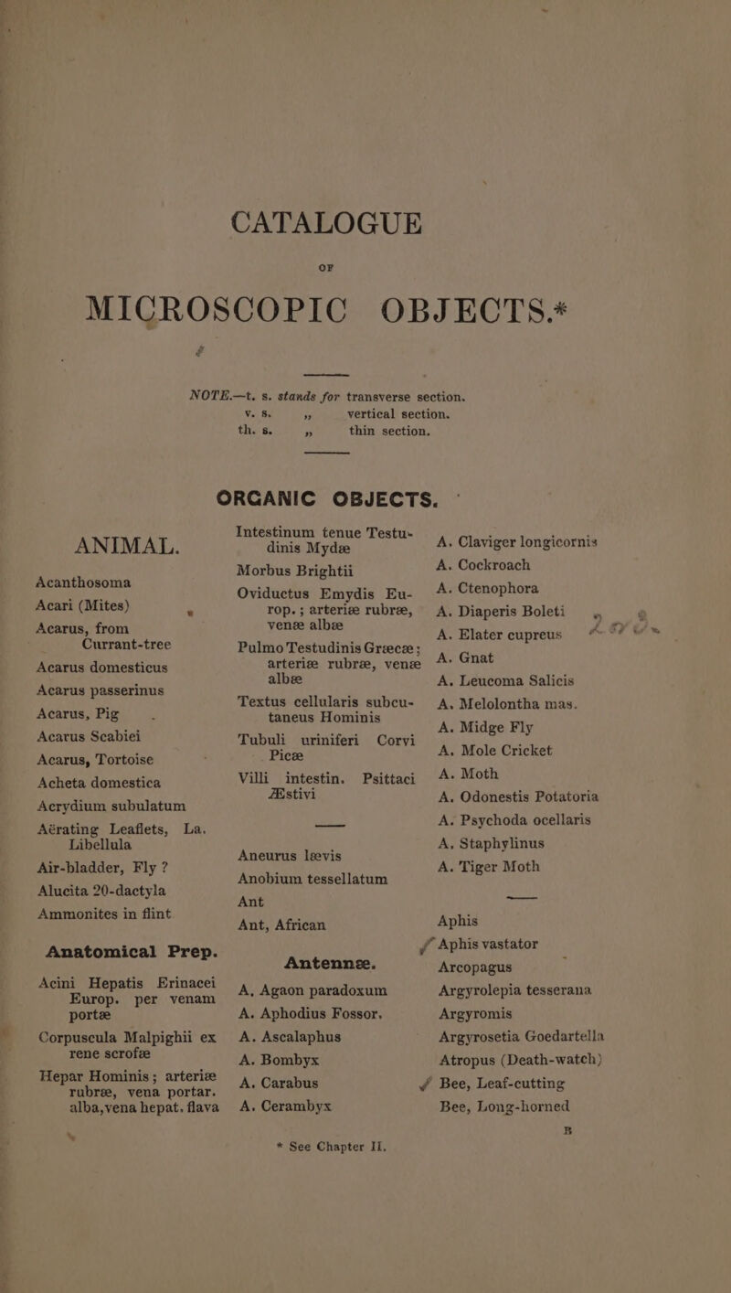 OF F Viel Sa nf th. s. Py ANIMAL. Acanthosoma Acari (Mites) Acarus, from ; Currant-tree Acarus domesticus Acarus passerinus Acarus, Pig Acarus Scabiei Acarus, Tortoise Acheta domestica Acrydium subulatum Aérating Leaflets, La. Libellula Air-bladder, Fly ? Alucita 20-dactyla Ammonites in flint Anatomical Prep. Acini Hepatis Erinacei Europ. per venam portee Corpuscula Malpighii ex rene scrofze Hepar Hominis ; arterize rubree, vena portar. alba,vena hepat. flava \ Intestinum tenue Testu- dinis Mydee Morbus Brightii Oviductus Emydis Eu- rop. ; arterize rubre, ven albze Pulmo Testudinis Greece; arterize rubree, ven albee Textus cellularis subcu- taneus Hominis Tubuli uriniferi Corvi Pice Villi intestin. Psittaci ZEstivi Aneurus levis Anobium tessellatum Ant A. Claviger longicornis A. Cockroach A. Ctenophora A. Diaperis Boleti A. Elater cupreus A. Gnat A. Leucoma Salicis A. Melolontha mas. A. Midge Fly A, Mole Cricket A. Moth A. Odonestis Potatoria A. Psychoda ocellaris A, Staphylinus A. Tiger Moth _—— Ant, African Aphis f Aphis vastator Antennee. Arcopagus ; A, Agaon paradoxum A. Aphodius Fossor. A. Ascalaphus A. Bombyx A. Carabus A, Cerambyx * See Chapter II, Argyrolepia tesserana Argyromis Argyrosetia Goedartella Atropus (Death-watch ) Bee, Long-horned B