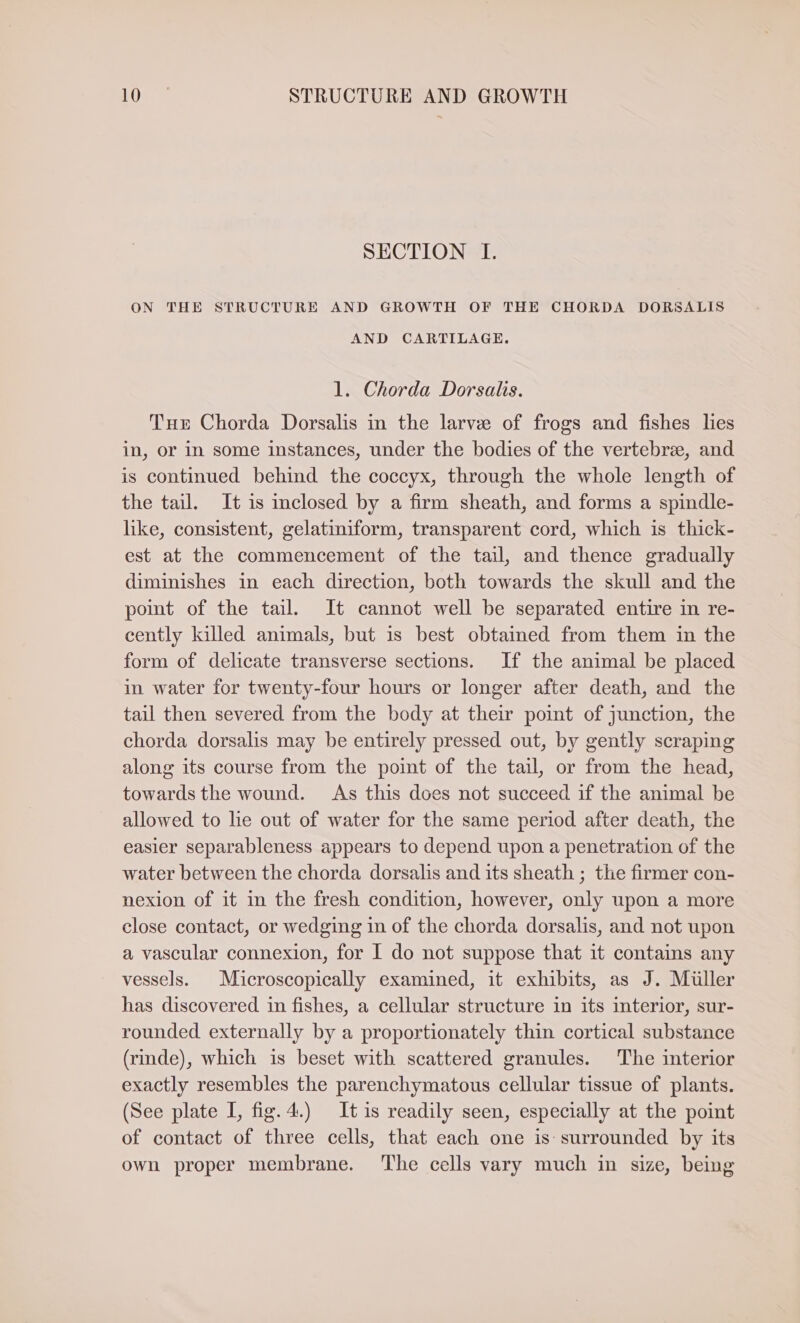 SECTION LI. ON THE STRUCTURE AND GROWTH OF THE CHORDA DORSALIS AND CARTILAGE. 1. Chorda Dorsalis. Tux Chorda Dorsalis in the larvee of frogs and fishes lies in, or in some instances, under the bodies of the vertebr&, and is continued behind the coccyx, through the whole length of the tail. It is inclosed by a firm sheath, and forms a spindle- like, consistent, gelatiniform, transparent cord, which is thick- est at the commencement of the tail, and thence gradually diminishes in each direction, both towards the skull and the point of the tail. It cannot well be separated entire in re- cently killed animals, but is best obtained from them in the form of delicate transverse sections. If the animal be placed in water for twenty-four hours or longer after death, and the tail then severed from the body at their point of junction, the chorda dorsalis may be entirely pressed out, by gently scraping along its course from the point of the tail, or from the head, towards the wound. As this does not succeed if the animal be allowed to le out of water for the same period after death, the easier separableness appears to depend upon a penetration of the water between the chorda dorsalis and its sheath ; the firmer con- nexion of it in the fresh condition, however, only upon a more close contact, or wedging in of the chorda dorsalis, and not upon a vascular connexion, for I do not suppose that it contains any vessels. | Microscopically examined, it exhibits, as J. Müller has discovered in fishes, a cellular structure in its interior, sur- rounded externally by a proportionately thin cortical substance (rinde), which is beset with scattered granules. The interior exactly resembles the parenchymatous cellular tissue of plants. (See plate I, fig. 4.) It is readily seen, especially at the point of contact of three cells, that each one is surrounded by its own proper membrane. ‘The cells vary much in size, being