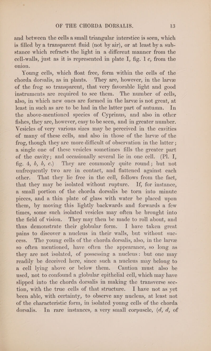 and between the cells a small triangular interstice is seen, which is filled by a transparent fluid (not by air), or at least by a sub- stance which refracts the hght in a different manner from the cell-walls, just as it is represented in plate I, fig. 1 ¢, from the onion. Young cells, which float free, form within the cells of the chorda dorsalis, as in plants. They are, however, in the larve of the frog so transparent, that very favorable hght and good instruments are required to see them. The number of cells, also, in which new ones are formed in the larvee is not great, at least in such as are to be had in the latter part of autumn. In the above-mentioned species of Cyprinus, and also in other fishes, they are, however, easy to be seen, and in greater number. Vesicles of very various sizes may be perceived in the cavities of many of these cells, and also in those of the larve of the frog, though they are more difficult of observation in the latter ; a single one of these vesicles sometimes fills the greater part of the cavity; and occasionally several lie in one cell. (Pl. I, fig. 4, 6, db, c.) They are commonly quite round; but not unfrequently two are in contact, and flattened against each other. That they le free in the cell, follows from the fact, that they may be isolated without rupture. If, for instance, a small portion of the chorda dorsalis be torn into minute pieces, and a thin plate of glass with water be placed upon them, by moving this lightly backwards and forwards a few times, some such isolated vesicles may often be brought into the field of vision. They may then be made to roll about, and thus demonstrate their globular form. I have taken great pains to discover a nucleus in their walls, but without suc- cess. The young cells of the chorda dorsalis, also, in the larve so often mentioned, have often the appearance, so long as they are not isolated, of possessing a nucleus: but one may readily be deceived here, since such a nucleus may belong to a cell lying above or below them. Caution must also be used, not to confound a globular epithelial cell, which may have slipped into the chorda dorsalis in making the transverse sec- tion, with the true cells of that structure. I have not as yet been able, with certainty, to observe any nucleus, at least not of the characteristic form, in isolated young cells of the chorda dorsalis. In rare instances, a very small corpuscle, (d, d, of