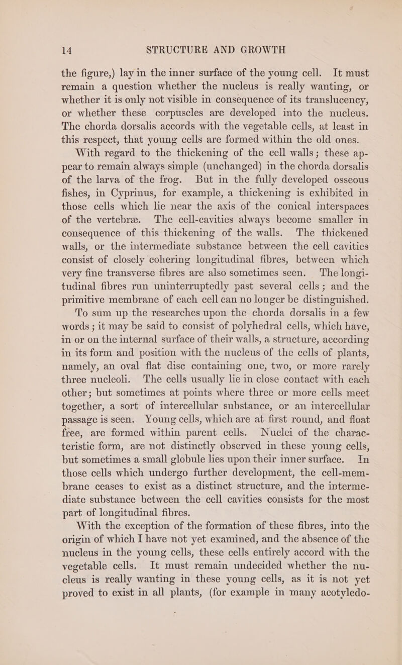 the figure,) lay in the inner surface of the young cell. It must remain a question whether the nucleus is really wanting, or whether it is only not visible in consequence of its translucency, or whether these corpuscles are developed into the nucleus. The chorda dorsalis accords with the vegetable cells, at least in this respect, that young cells are formed within the old ones. With regard to the thickening of the cell walls; these ap- pear to remain always simple (unchanged) in the chorda dorsalis of the larva of the frog. But in the fully developed osseous fishes, in Cyprinus, for example, a thickening is exhibited in those cells which lie near the axis of the conical interspaces of the vertebre. The cell-cavities always become smaller in consequence of this thickening of the walls. The thickened walls, or the intermediate substance between the cell cavities consist of closely cohering longitudinal fibres, between which very fine transverse fibres are also sometimes seen. The longi- tudinal fibres run uninterruptedly past several cells; and the primitive membrane of each cell can no longer be distinguished. To sum up the researches upon the chorda dorsalis in a few words ; it may be said to consist of polyhedral cells, which have, in or on the internal surface of their walls, a structure, according in its form and position with the nucleus of the cells of plants, namely, an oval flat disc containing one, two, or more rarely three nucleoli. The cells usually lie in close contact with each other; but sometimes at points where three or more cells meet together, a sort of intercellular substance, or an intercellular passage is seen. Young cells, which are at first round, and float free, are formed within parent cells. Nuclei of the charac- teristic form, are not distinctly observed in these young cells, but sometimes a small globule les upon their inner surface. In those cells which undergo further development, the cell-mem- brane ceases to exist as a distinct structure, and the interme- diate substance between the cell cavities consists for the most part of longitudinal fibres. With the exception of the formation of these fibres, into the origin of which I have not yet examined, and the absence of the nucleus in the young cells, these cells entirely accord with the vegetable cells. It must remain undecided whether the nu- cleus is really wanting in these young cells, as it is not yet proved to exist in all plants, (for example in many acotyledo-