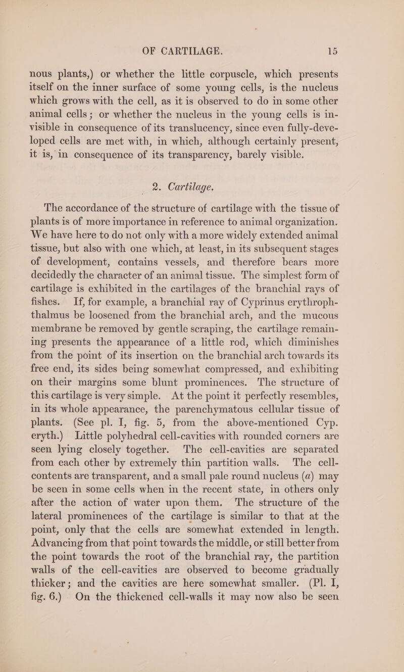 nous plants,) or whether the little corpuscle, which presents itself on the inner surface of some young cells, is the nucleus which grows with the cell, as it is observed to do in some other animal cells; or whether the nucleus in the young cells is in- visible in consequence of its translucency, since even fully-deve- loped cells are met with, in which, although certainly present, it is, in consequence of its transparency, barely visible. _ 2. Cartilage. The accordance of the structure of cartilage with the tissue of plants is of more importance in reference to animal organization. We have here to do not only with a more widely extended animal tissue, but also with one which, at least, in its subsequent stages of development, contains vessels, and therefore bears more decidedly the character of an animal tissue. The simplest form of cartilage is exhibited in the cartilages of the branchial rays of fishes. If, for example, a branchial ray of Cyprinus erythroph- thalmus be loosened from the branchial arch, and the mucous membrane be removed by gentle scraping, the cartilage remain- ing presents the appearance of a little rod, which diminishes from the point of its insertion on the branchial arch towards its free end, its sides being somewhat compressed, and exhibiting on their margins some blunt prominences. The structure of this cartilage is very simple. At the point it perfectly resembles, in its whole appearance, the parenchymatous cellular tissue of plants. (See pl. I, fig. 5, from the above-mentioned Cyp. eryth.) Little polyhedral cell-cavities with rounded corners are seen lying closely together. The cell-cavities are separated from each other by extremely thin partition walls. The cell- contents are transparent, and a small pale round nucleus (a) may be seen in some cells when in the recent state, in others only after the action of water upon them. The structure of the lateral prominences of the cartilage is similar to that at the point, only that the cells are somewhat extended in length. Advancing from that point towards the middle, or still better from the point towards the root of the branchial ray, the partition walls of the cell-cavities are observed to become gradually thicker; and the cavities are here somewhat smaller. (Pl. I, fig. 6.) On the thickened cell-walls it may now also be seen