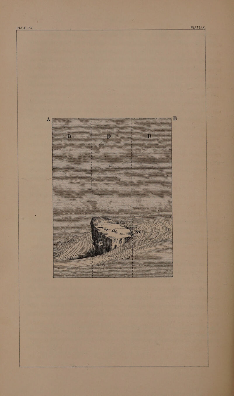 PLATE.AX. PAGE.157. —