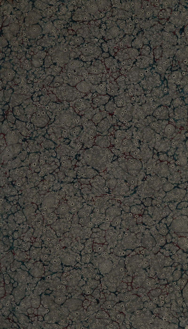 RAPATT vd æ æ ie À: \ # PE k me Ÿ. CORTEX Ç 84 PRO 2 ARS G.5= AN EURO ss 4 poor Es ne AE a 9 LA RE LOS ET V0 LS