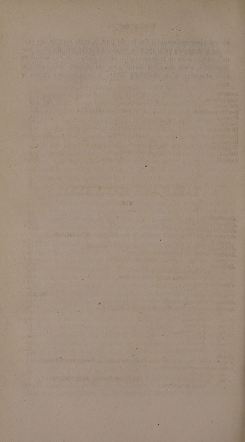 2 + 4N Pu LE ER Ve # t à: + » Pa sie di A Ne r x PET COPINE pa OPA 1 ’ . \ ! LU C *. 1e, : De a SR EE var TR OM R Ha NE MMREET ES (i) RS € DA \ + 47 ‘2% 54 1] PE LES à 2e RCA E LASDEr