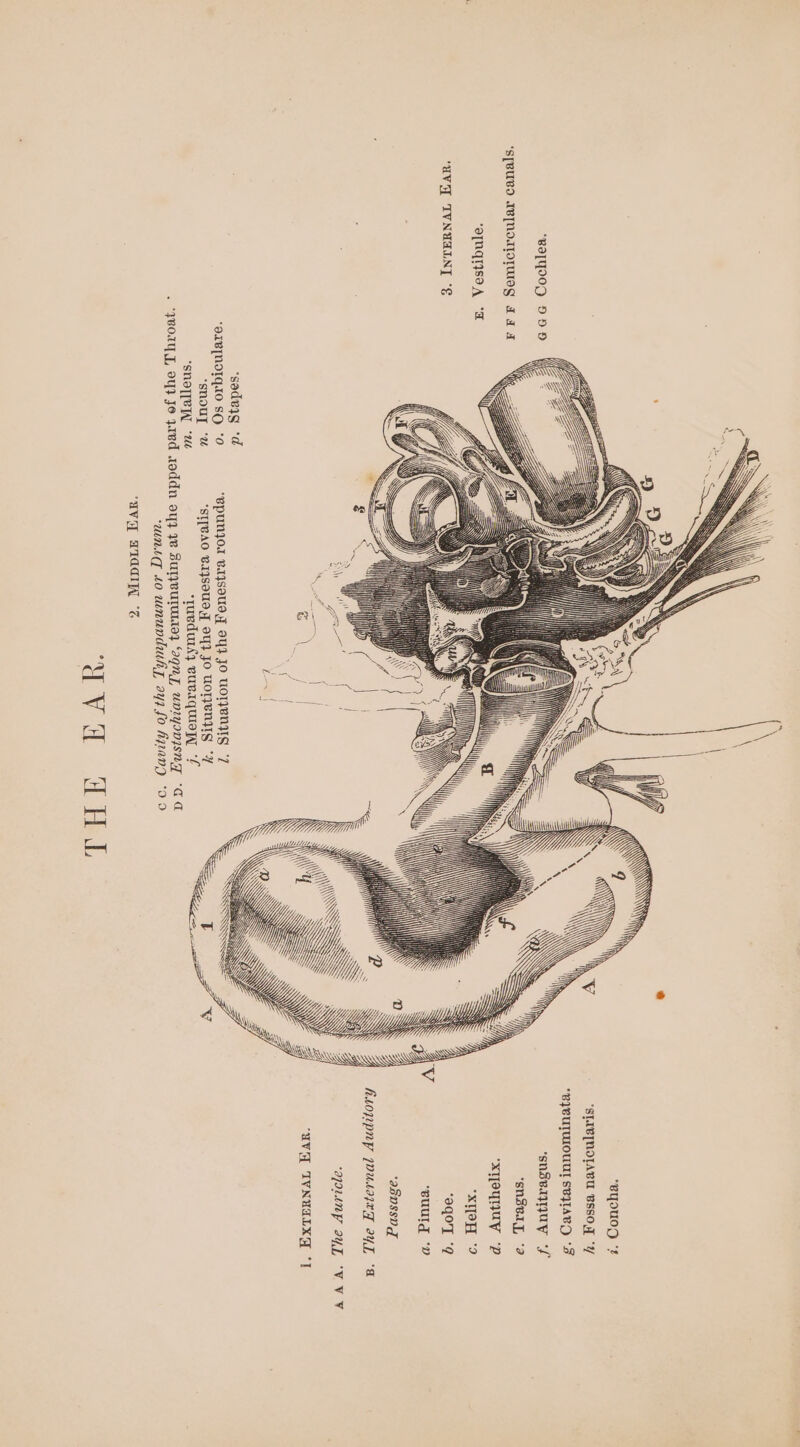 “BYyoUudy *2 “SIAV[NOTABU BSSO,T *7/ *BJVUTMIOUUL SBYTABD ‘Bayyo0R DDD ‘snsvayyquy ‘f ‘s[BUBO IB[MOTTOIWIOG Fd a ‘sn3C1Ly, “2 “OTNTISOA “a “xTeqyUuy P *xITOH °9 “oqoT “92 AV ‘euulg ‘D ‘UV IVNUGALNET “§ ‘ISDSSD KAoppnyp JOUMILT ay], “a 2j0Linp ay “WV ¥ ‘UV IVNUGLXY I CH: Vi/, ‘soduyg *d ‘9IB[NOIGIO SO °O “epUNJOA VAIJSOUI,| SY} JO UOTFENPS 7 “snouy ‘wu “ST[VAO BAJSOUO,T OY} JO UOTJENYS “7 “SNOTIVTAL “26 ‘tuedursy vuvrquiey, “f . -yeoayy, oy} Jo yared azoddn oy} ye Burywurunsey ‘aga wn2yovisngy “aa ‘unig to ununduhy, ayzfo fizang *9 9 ‘av TIaAaIL “% UVa a bed