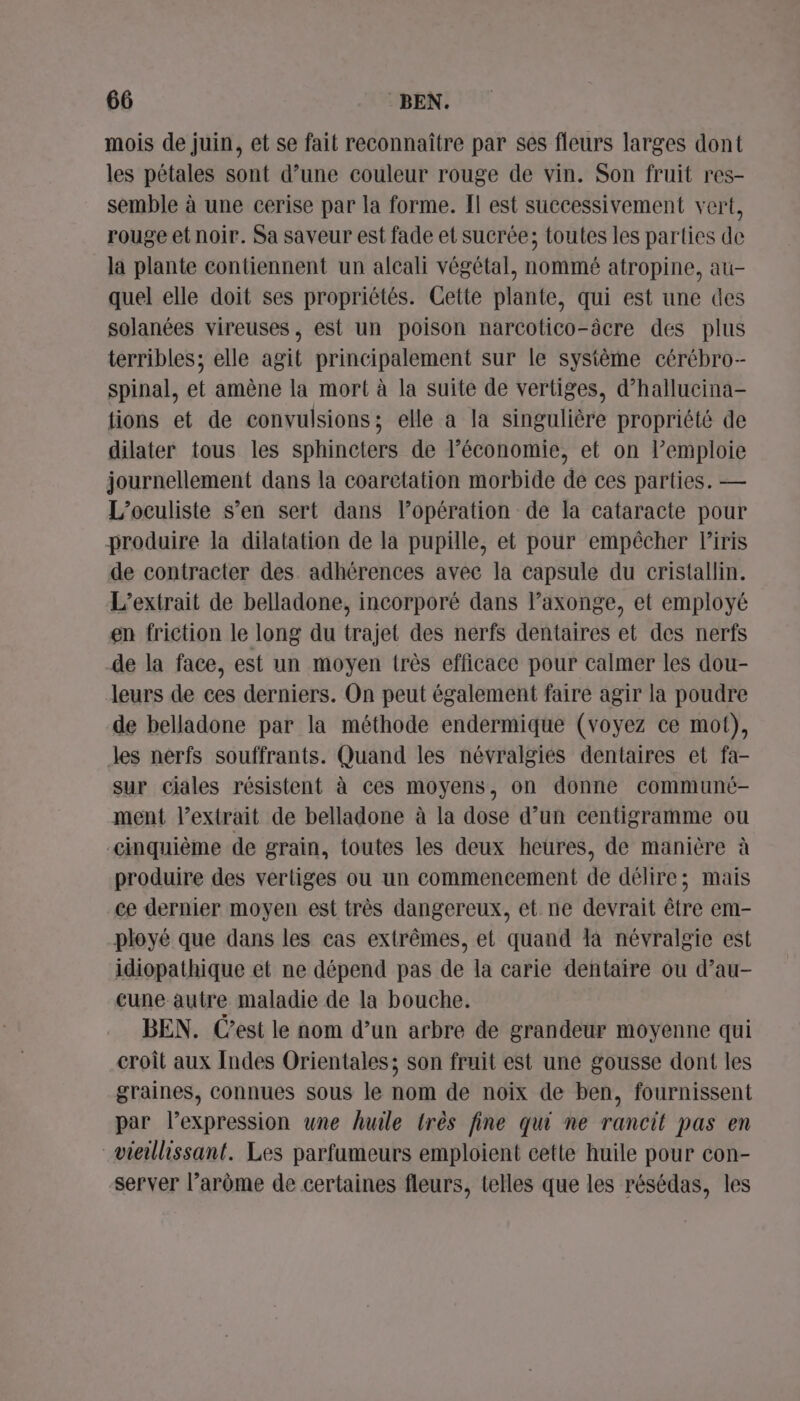 mois de juin, et se fait reconnaître par ses fleurs larges dont les pétales sont d’une couleur rouge de vin. Son fruit res- semble à une cerise par la forme. Il est successivement vert, rouge et noir. Sa saveur est fade et sucrée; toutes les parties de la plante contiennent un alcali végétal, nommé atropine, au- quel elle doit ses propriétés. Cette plante, qui est une des solanées vireuses , est un poison narcotico-âcre des plus terribles; elle agit principalement sur le système cérébro- spinal, et amène la mort à la suite de vertiges, d’hallucina- tions et de convulsions; elle a la singulière propriété de dilater tous les sphincters de l’économie, et on l’emploie journellement dans la coaretation morbide de ces parties. — L’oculiste s’en sert dans l’opération de la cataracte pour produire la dilatation de la pupille, et pour empêcher liris de contracter des. adhérences avec la capsule du cristallin. L’exirait de belladone, incorporé dans laxonge, et employé en friction le long du trajet des nerfs dentaires et des nerfs de la face, est un moyen très efficace pour calmer les dou- leurs de ces derniers. On peut également faire agir la poudre de belladone par la méthode endermique (voyez ce mot), les nerfs souffrants. Quand les névralgiés dentaires et fa- sur ciales résistent à ces moyens, on donne communé- ment l’extrait de belladone à la dose d’un centigramme ou cinquième de grain, toutes les deux heures, de manière à produire des vertiges ou un commencement de délire; mais ce dernier moyen est très dangereux, et ne devrait être em- ployé que dans les cas extrêmes, et quand là névralgie est idiopathique et ne dépend pas de la carie dentaire ou d’au- cune autre maladie de la bouche. BEN. C’est le nom d’un arbre de grandeur moyenne qui croit aux Indes Orientales; son fruit est une gousse dont les graines, connues sous le nom de noix de ben, fournissent par l’expression une huile très fine qui ne rancit pas en vieillissant. Les parfumeurs emploient cette huile pour con- server l’arôme de certaines fleurs, telles que les résédas, les