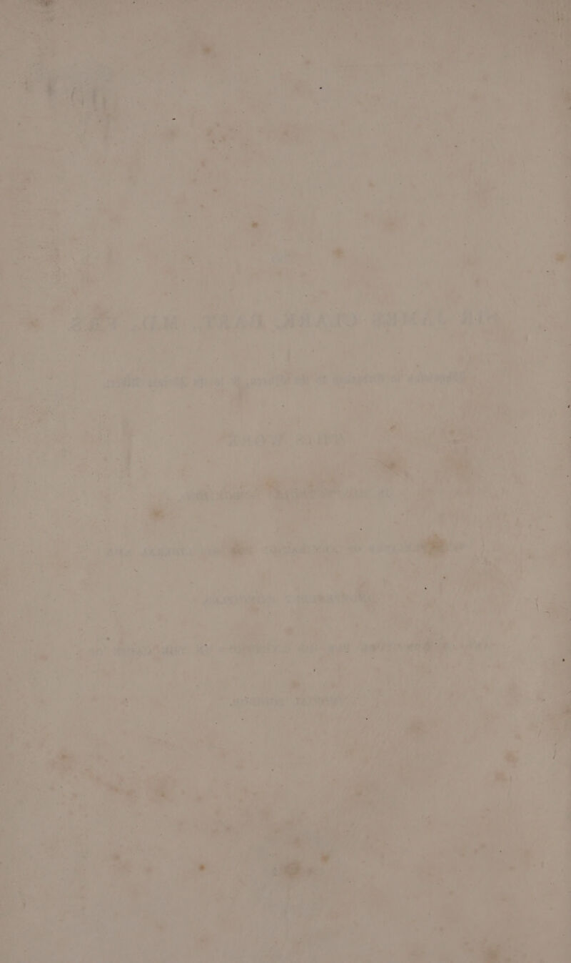2 = beast oA Be a | oy + - Me 5 a qt. sy ’ . > a 7 1. ~4 » SO AM BRA HAL: MMe Bly ; ‘ a ; ie iw ee si rh ver _ ih < i Leas a Sy, Re eth a of genet Ss la oe « a i ’ mn Pace = | | --F ian AOE Ry oe { a . BMA JeRaUT alge aa