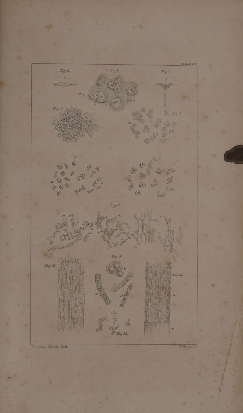 cd mS SERRA a i eee fuk tah See OY ET