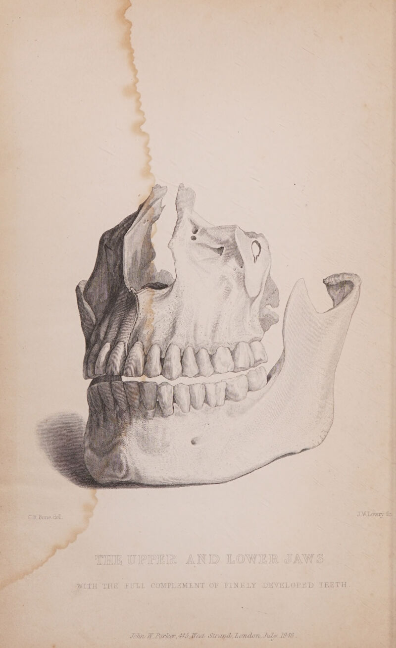 Se 1Gs J.W_Lowxv Jthitu W Parker, 43 West Strand London, July 1848 .
