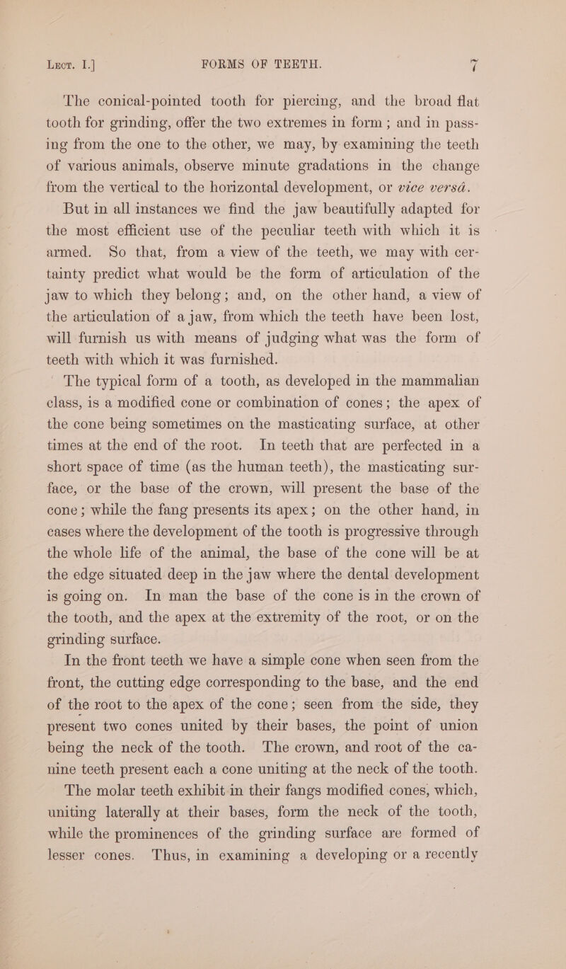 The conical-pointed tooth for piercing, and the broad flat tooth for grinding, offer the two extremes in form ; and in pass- ing from the one to the other, we may, by examining the teeth of various animals, observe minute gradations in the change from the vertical to the horizontal development, or vice versa. But in all instances we find the jaw beautifully adapted for the most efficient use of the peculiar teeth with which it is armed. So that, from a view of the teeth, we may with cer- tainty predict what would be the form of articulation of the jaw to which they belong; and, on the other hand, a view of the articulation of a jaw, from which the teeth have been lost, will furnish us with means of judging what was the form of teeth with which it was furnished. - The typical form of a tooth, as developed in the mammalian class, is a modified cone or combination of cones; the apex of the cone being sometimes on the masticating surface, at other times at the end of the root. In teeth that are perfected in a short space of time (as the human teeth), the masticating sur- face, or the base of the crown, will present the base of the cone; while the fang presents its apex; on the other hand, in cases where the development of the tooth is progressive through the whole life of the animal, the base of the cone will be at the edge situated deep in the jaw where the dental development is going on. In man the base of the cone is in the crown of the tooth, and the apex at the extremity of the root, or on the grinding surface. In the front teeth we have a simple cone when seen from the front, the cutting edge corresponding to the base, and the end of the root to the apex of the cone; seen from the side, they present two cones united by their bases, the point of union being the neck of the tooth. The crown, and root of the ca- nine teeth present each a cone uniting at the neck of the tooth. The molar teeth exhibit in their fangs modified cones, which, uniting laterally at their bases, form the neck of the tooth, while the prominences of the grinding surface are formed of lesser cones. Thus, in examining a developing or a recently