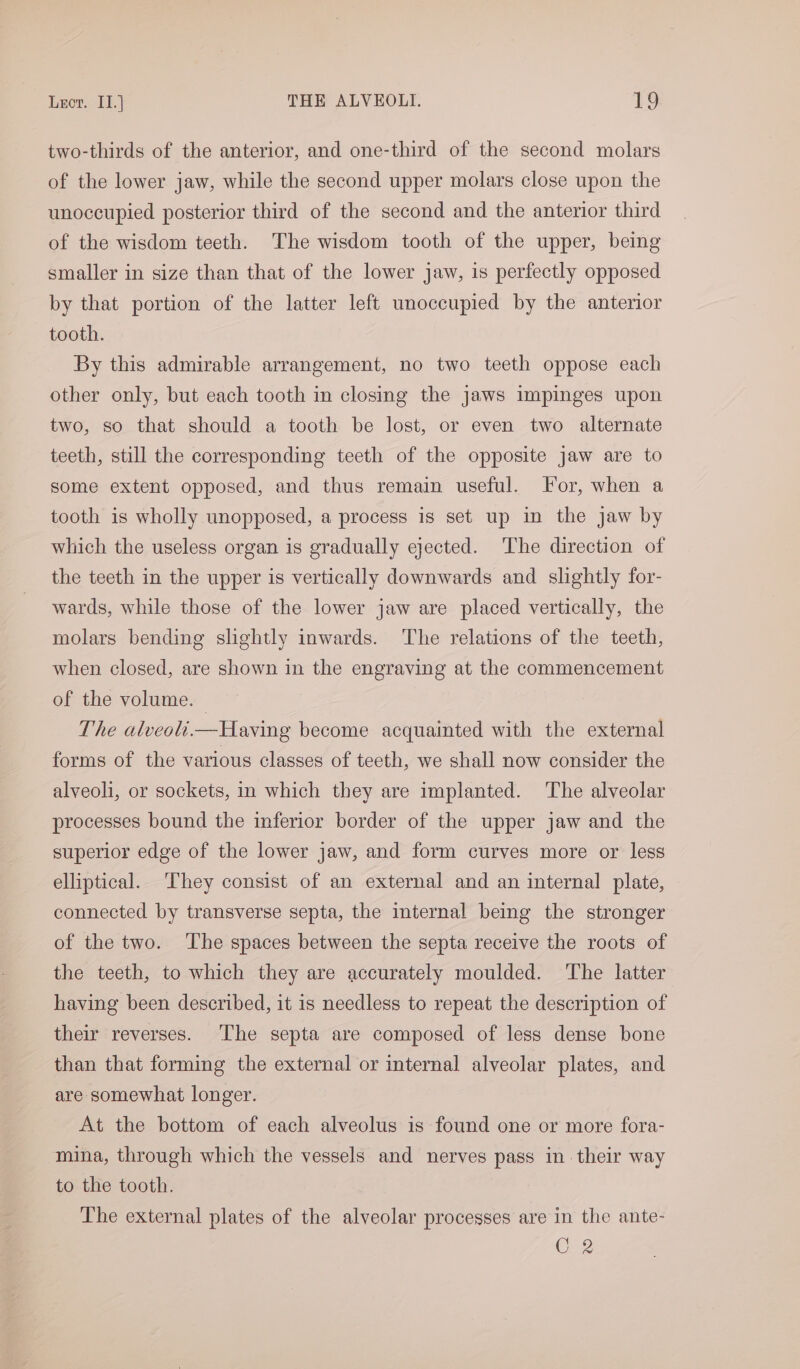 two-thirds of the anterior, and one-third of the second molars of the lower jaw, while the second upper molars close upon the unoccupied posterior third of the second and the anterior third of the wisdom teeth. The wisdom tooth of the upper, being smaller in size than that of the lower jaw, is perfectly opposed by that portion of the latter left unoccupied by the anterior tooth. By this admirable arrangement, no two teeth oppose each other only, but each tooth in closing the jaws impinges upon two, so that should a tooth be lost, or even two alternate teeth, still the corresponding teeth of the opposite jaw are to some extent opposed, and thus remain useful. For, when a tooth is wholly unopposed, a process is set up in the jaw by which the useless organ is gradually ejected. The direction of the teeth in the upper is vertically downwards and slightly for- wards, while those of the lower jaw are placed vertically, the molars bending slightly inwards. The relations of the teeth, when closed, are shown in the engraving at the commencement of the volume. — The alveoli.mHaving become acquainted with the external forms of the various classes of teeth, we shall now consider the alveoli, or sockets, in which they are implanted. The alveolar processes bound the inferior border of the upper jaw and the superior edge of the lower jaw, and form curves more or less elliptical. ‘They consist of an external and an internal plate, connected by transverse septa, the internal being the stronger of the two. ‘The spaces between the septa receive the roots of the teeth, to which they are accurately moulded. ‘The latter having been described, it is needless to repeat the description of their reverses. The septa are composed of less dense bone than that forming the external or internal alveolar plates, and are somewhat longer. At the bottom of each alveolus is found one or more fora- mina, through which the vessels and nerves pass in. their way to the tooth. The external plates of the alveolar processes are in the ante- C2