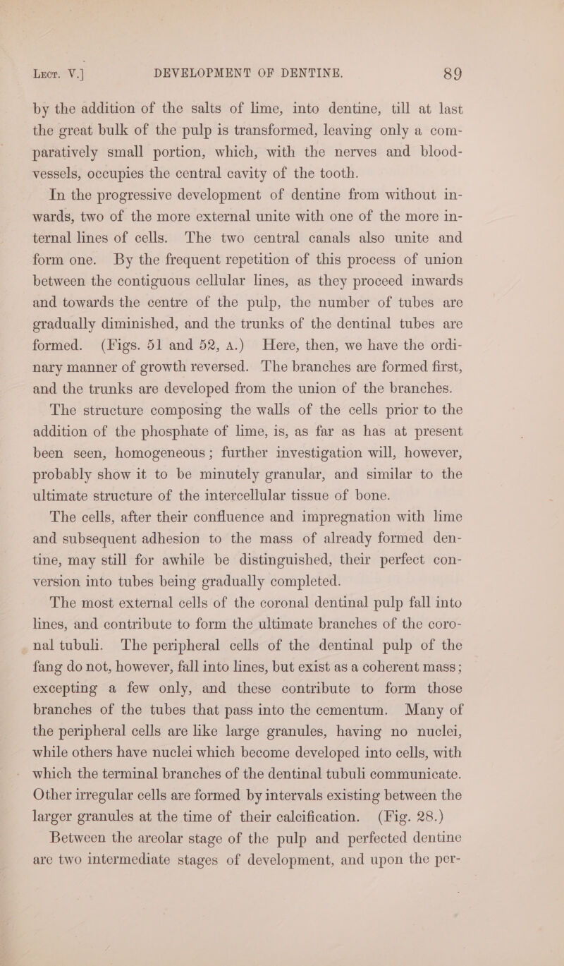 by the addition of the salts of lime, into dentine, till at last the great bulk of the pulp is transformed, leaving only a com- paratively small portion, which, with the nerves and blood- vessels, occupies the central cavity of the tooth. In the progressive development of dentine from without in- wards, two of the more external unite with one of the more in- ternal lines of cells. The two central canals also unite and form one. By the frequent repetition of this process of union between the contiguous cellular lines, as they proceed inwards and towards the centre of the pulp, the number of tubes are gradually diminished, and the trunks of the dentinal tubes are formed. (Figs. 51 and 52, a.) Here, then, we have the ordi- nary manner of growth reversed. The branches are formed first, and the trunks are developed from the union of the branches. The structure composing the walls of the cells prior to the addition of the phosphate of lime, is, as far as has at present been seen, homogeneous; further investigation will, however, probably show it to be minutely granular, and similar to the ultimate structure of the intercellular tissue of bone. The cells, after their confluence and impregnation with lime and subsequent adhesion to the mass of already formed den- tine, may still for awhile be distinguished, their perfect con- version into tubes being gradually completed. The most external cells of the coronal dentinal pulp fall into lines, and contribute to form the ultimate branches of the coro- _naltubuli. The peripheral cells of the dentinal pulp of the fang do not, however, fall into lines, but exist as a coherent mass ; excepting a few only, and these contribute to form those branches of the tubes that pass into the cementum. Many of the peripheral cells are like large granules, having no nuclei, while others have nuclei which become developed into cells, with which the terminal branches of the dentinal tubuli communicate. Other irregular cells are formed by intervals existing between the larger granules at the time of their calcification. (Fig. 28.) Between the areolar stage of the pulp and perfected dentine are two intermediate stages of development, and upon the per-