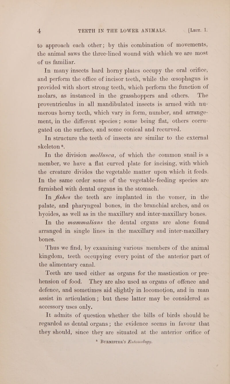 to approach each other; by this combination of movements, the animal saws the three-lined wound with which we are most of us familiar. In many insects hard horny plates occupy the oral orifice, and perform the office of incisor teeth, while the cesophagus is provided with short strong teeth, which perform the function of molars, as instanced in the grasshoppers and others. The proventriculus in all mandibulated insects is armed with nu- merous horny teeth, which vary in form, number, and arrange- ment, in the different species; some being flat, others corru- gated on the surface, and some conical and recurved. In structure the teeth of insects are similar to the external skeleton ®. In the division mollusca, of which the common snail is a member, we have a flat curved plate for incising, with which the creature divides the vegetable matter upon which it feeds. In the same order some of the vegetable-feeding species are furnished with dental organs in the stomach. In fishes the teeth are implanted in the vomer, in the palate, and pharyngeal bones, in the branchial arches, and os hyoides, as well as in the maxillary and inter-maxillary bones. In the mammalhans the dental organs are alone found arranged in single lines in the maxillary and inter-maxillary bones. Thus we find, by examining various members of the animal kingdom, teeth occupying every point of the anterior part of the alimentary canal. Teeth are used either as organs for the mastication or pre- hension of food. ‘They are also used as organs of offence and defence, and sometimes aid slightly in locomotion, and in man assist in articulation; but these latter may be considered as accessory uses only. It admits of question whether the bills of birds should be regarded as dental organs; the evidence seems in favour that they should, since they are situated at the anterior orifice of * BurMister’s Hntonology.