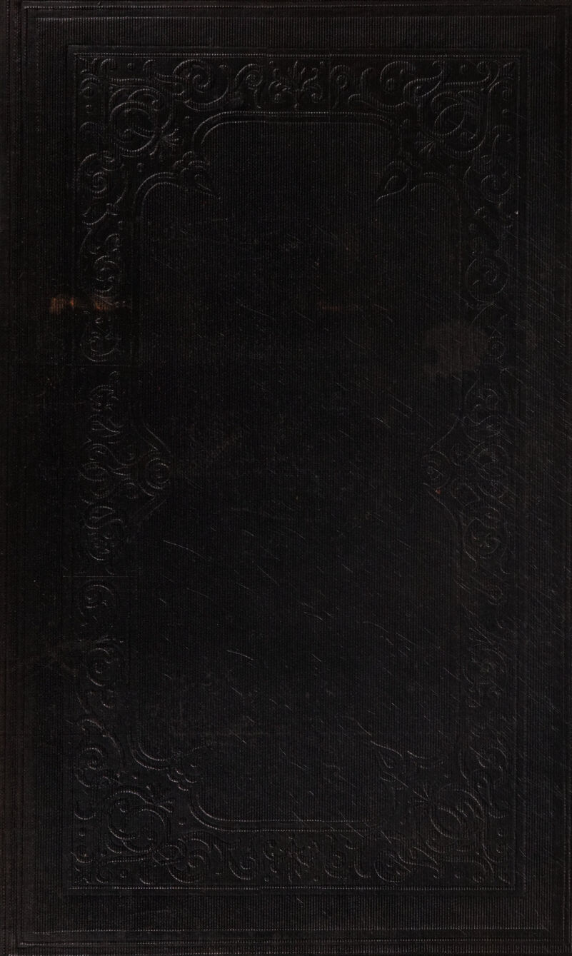 Sean ER Le Sat a in LTE NS tpt gee ~ er ve as seen or e nam msah wees at ter syne sine ws eaeay apo os ere wines tee ah 8 hh a ae Wh tage Wy rE Pevcrersswoes trererer prerenrs Thi at Gebel iy Fete Abst é Fitba’ th 2 See, ad Binks pee ate aaeee a wererere peers “ae Fiabe AO VOY ME ob se, SANs og * te